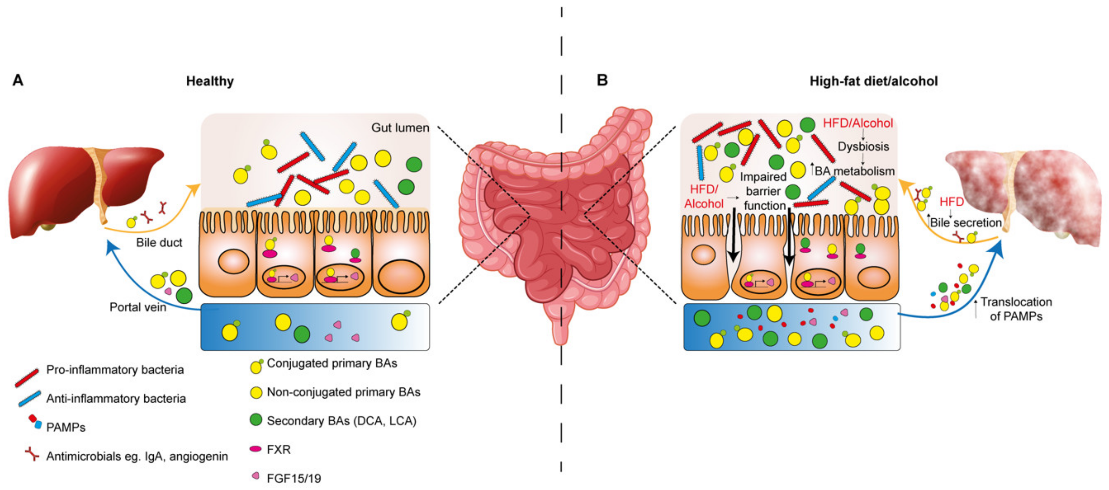 Nutrients 12 00933 g002