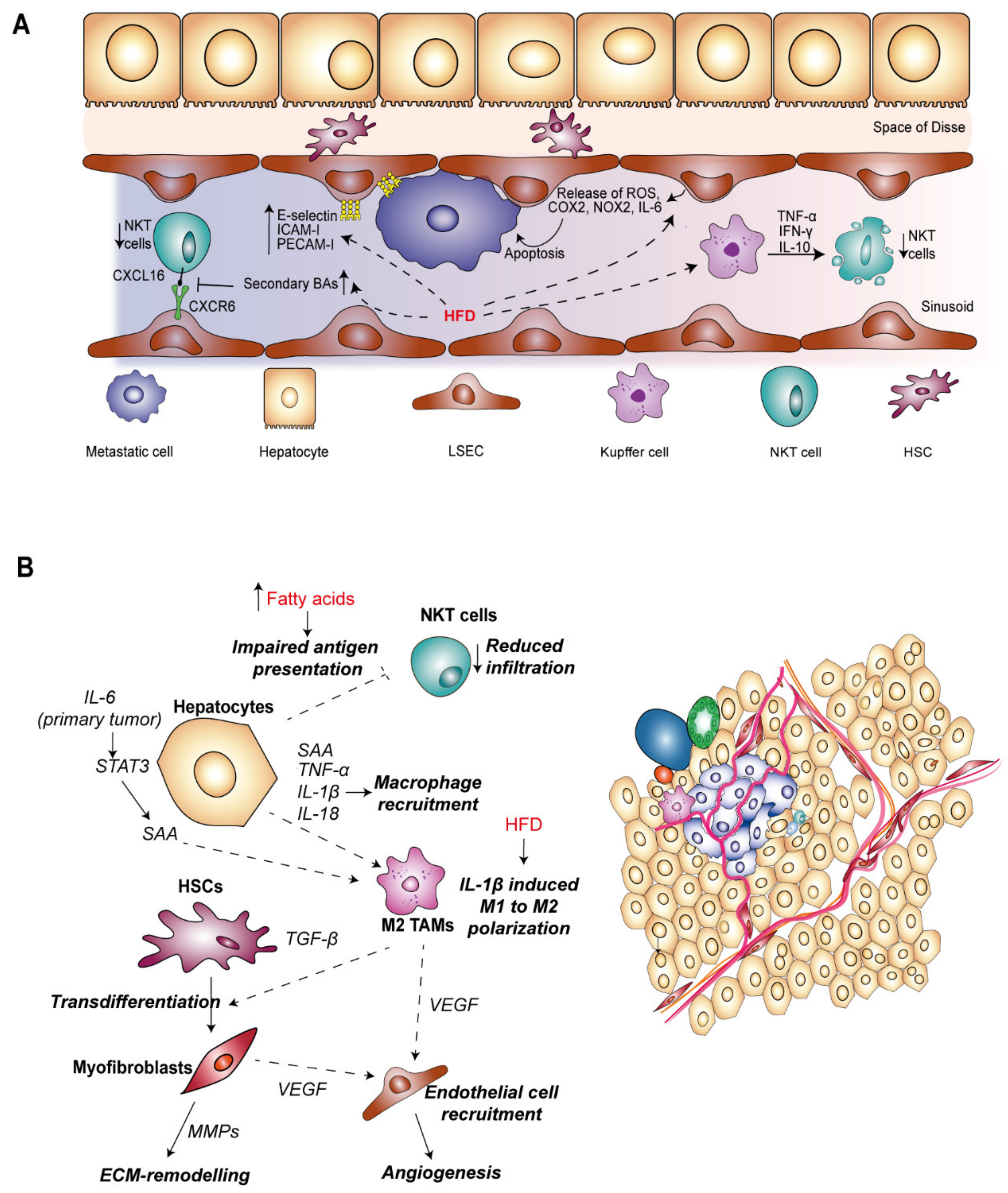 Nutrients 12 00933 g003
