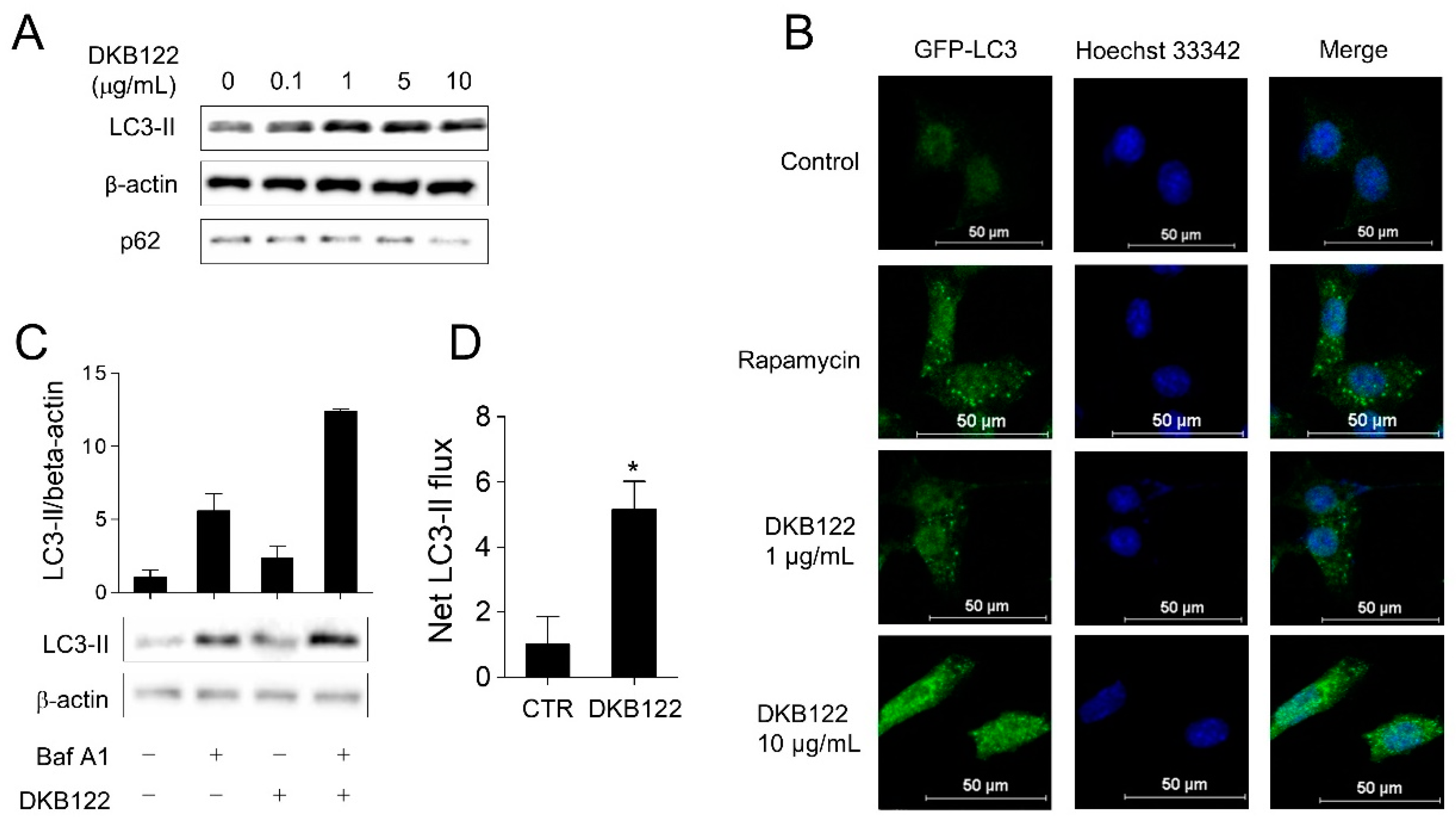 Nutrients 12 00947 g006 Nutrients 12 00947 g006