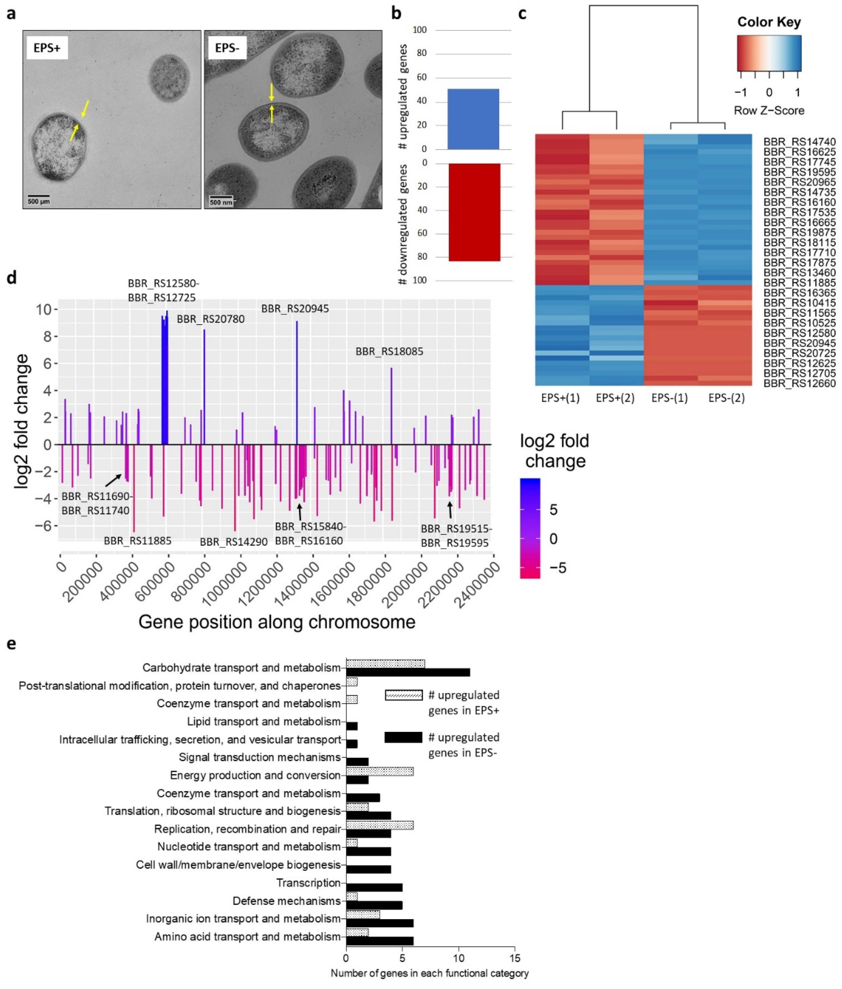 Nutrients 12 00948 g001 Nutrients 12 00948 g001