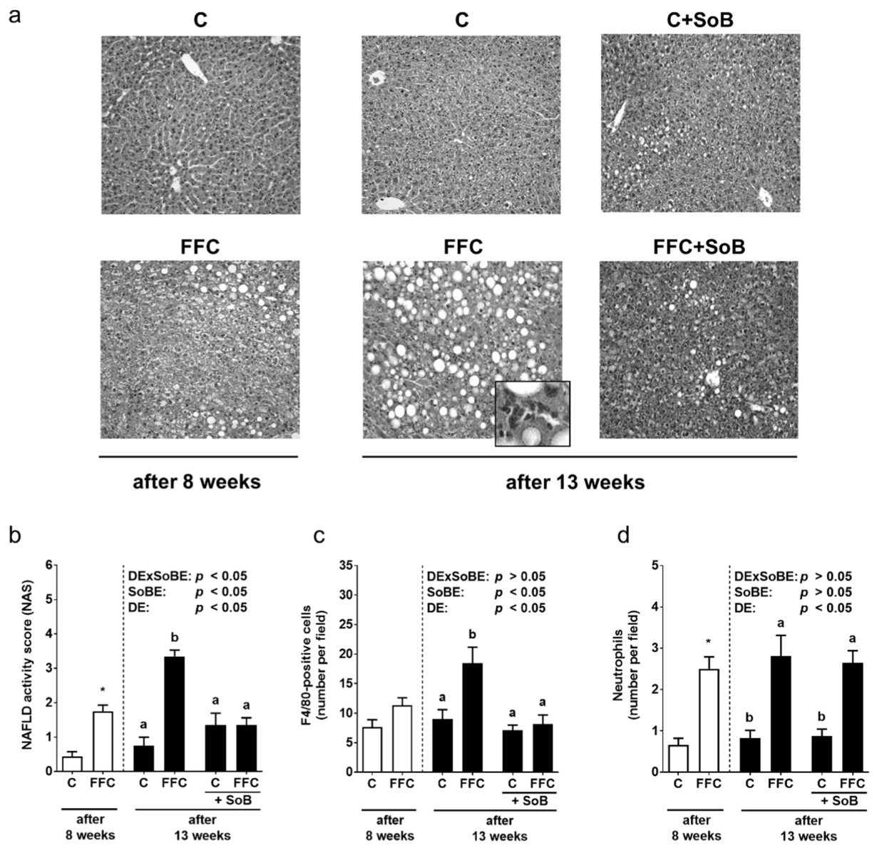 Nutrients 12 00951 g002