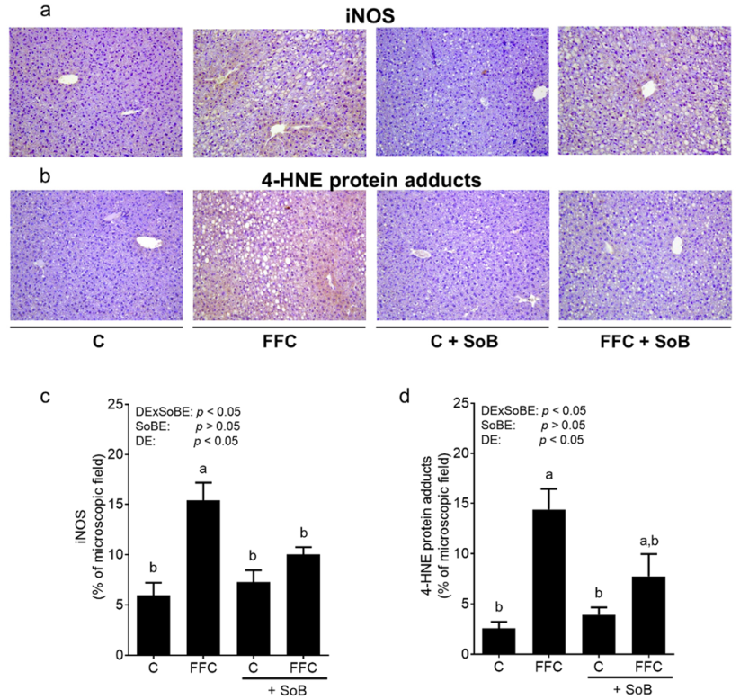 Nutrients 12 00951 g004