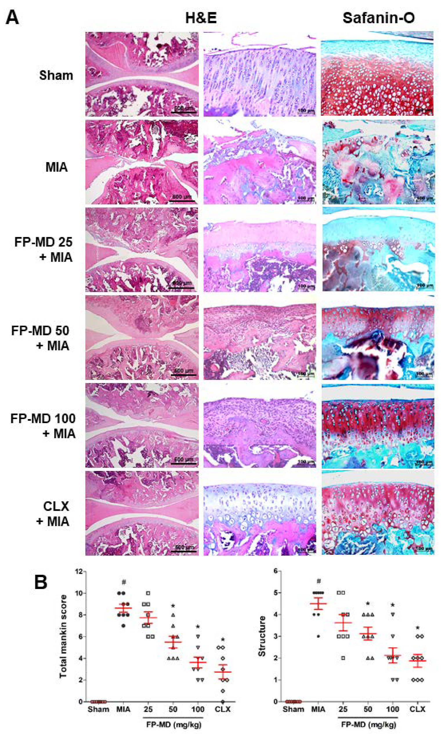 Nutrients 12 00956 g002