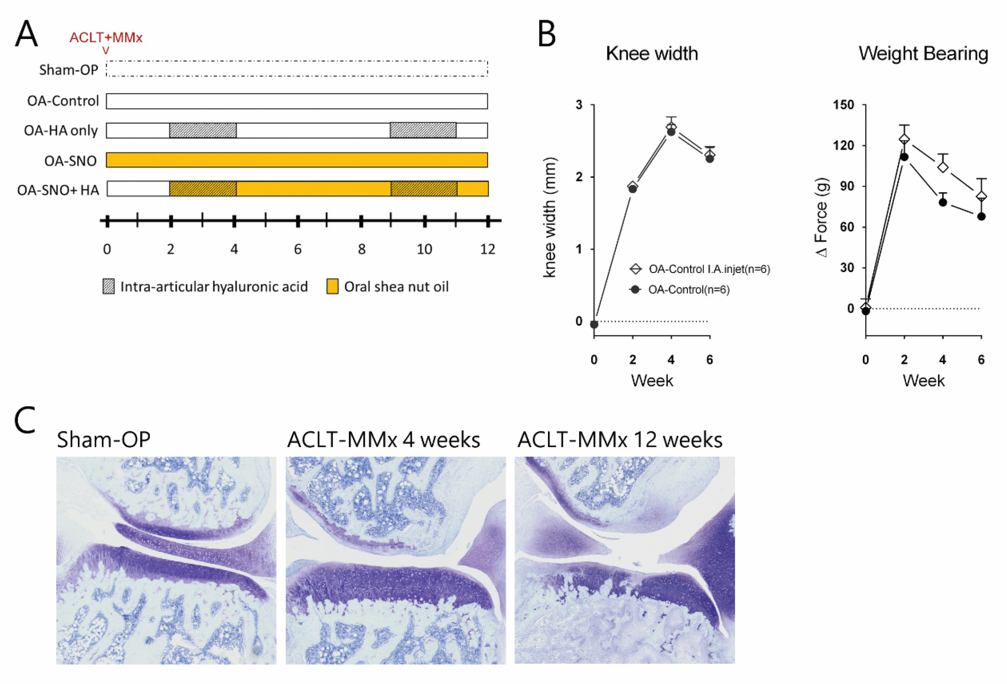 Nutrients 12 00957 g001