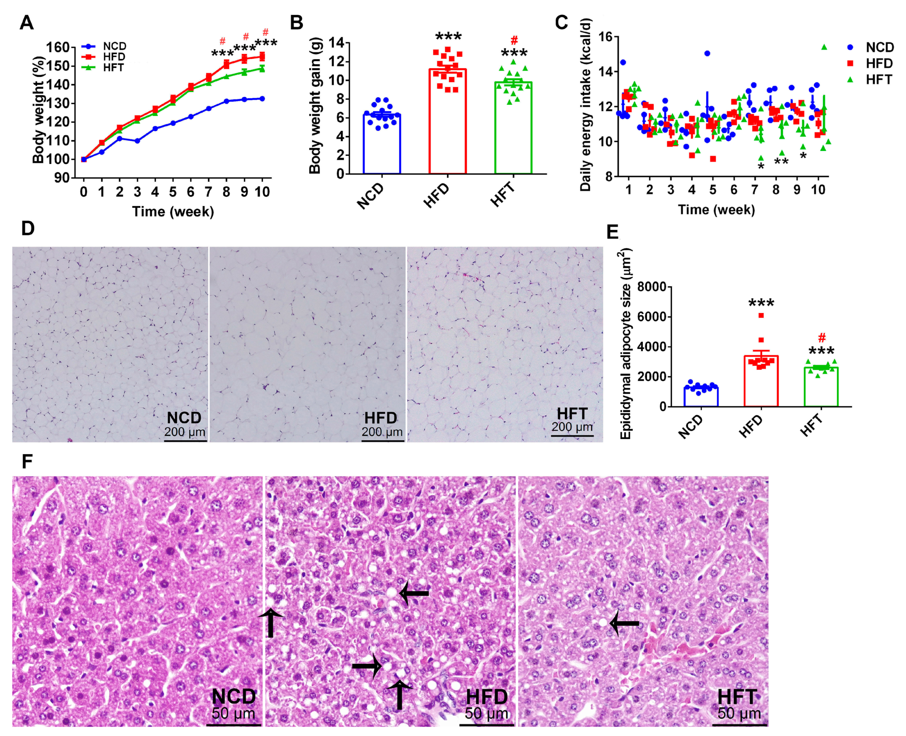 Nutrients 12 00977 g001 Nutrients 12 00977 g001