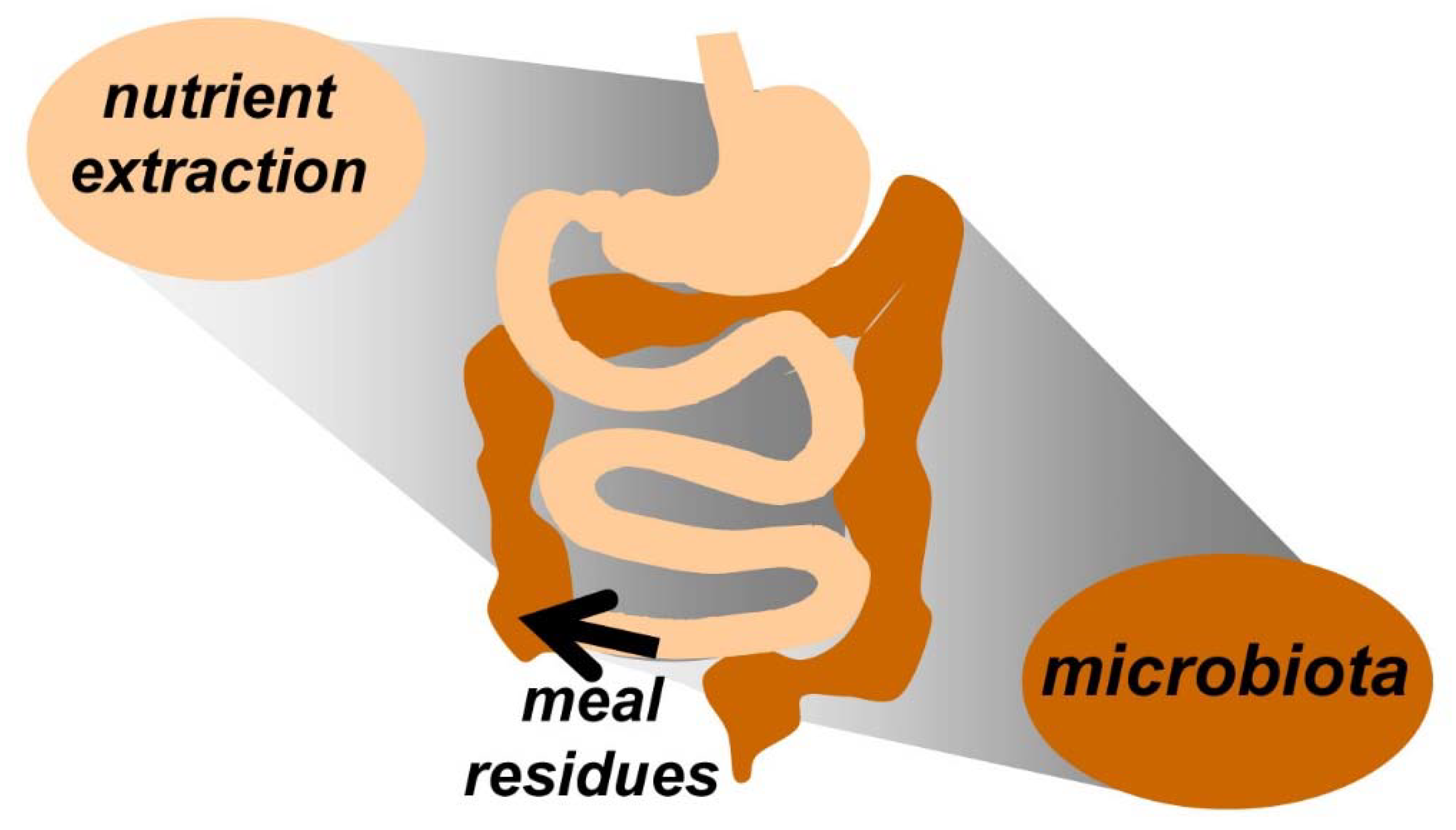 Nutrients 12 00986 g001