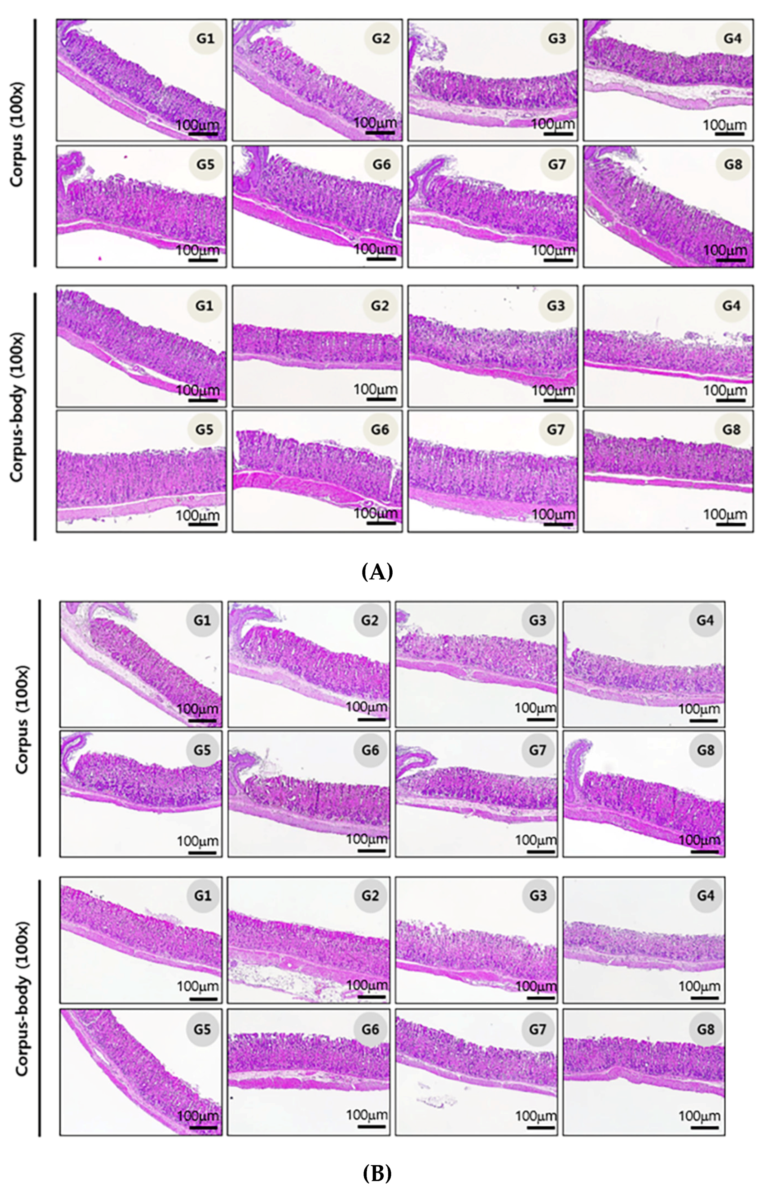 Nutrients 12 01000 g004