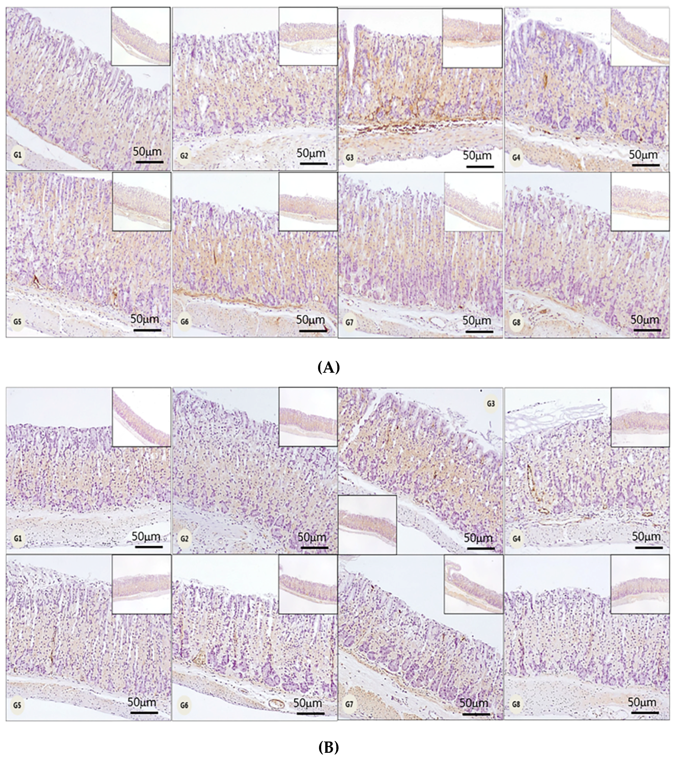 Nutrients 12 01000 g005