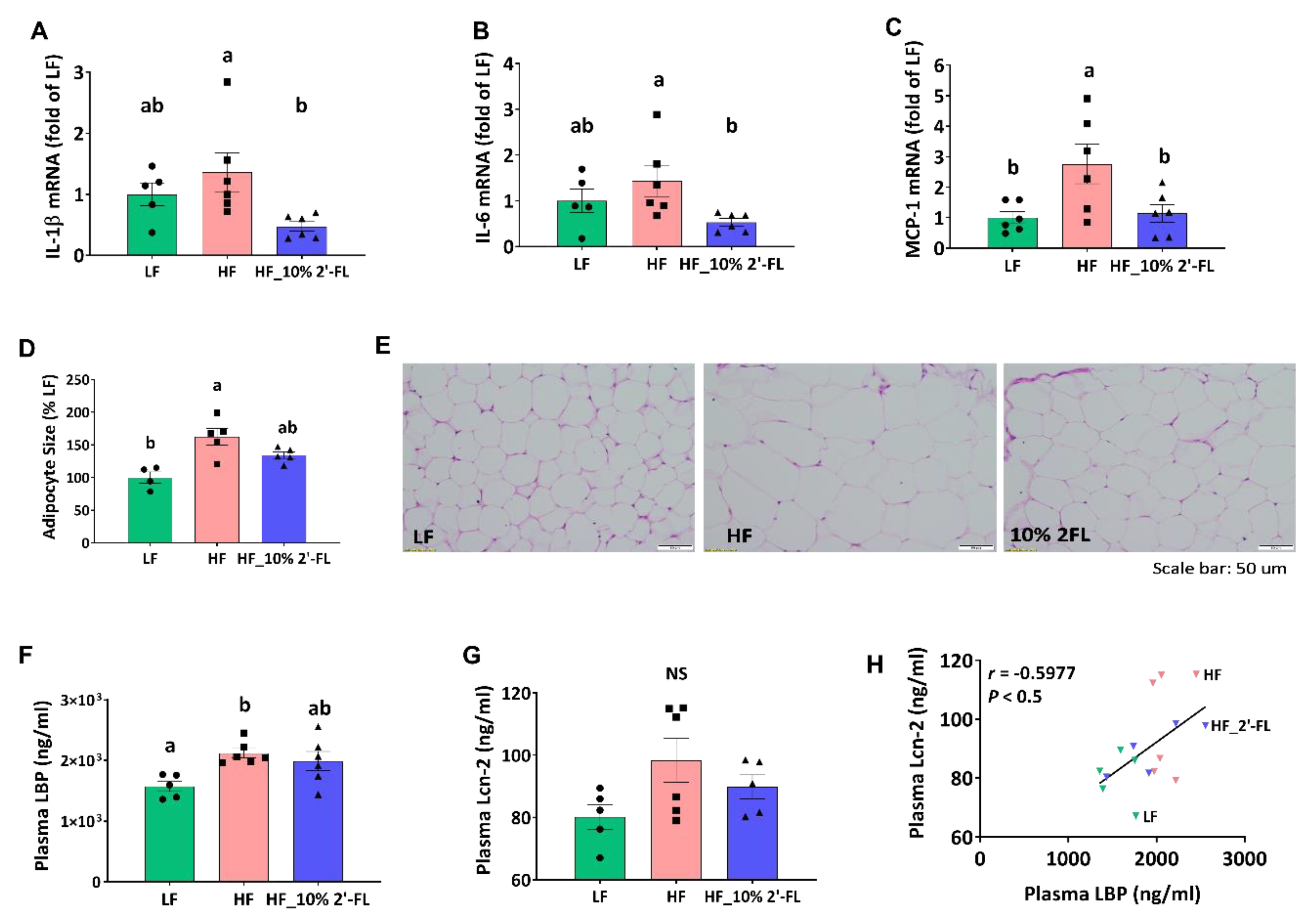 Nutrients 12 01003 g005 Nutrients 12 01003 g005