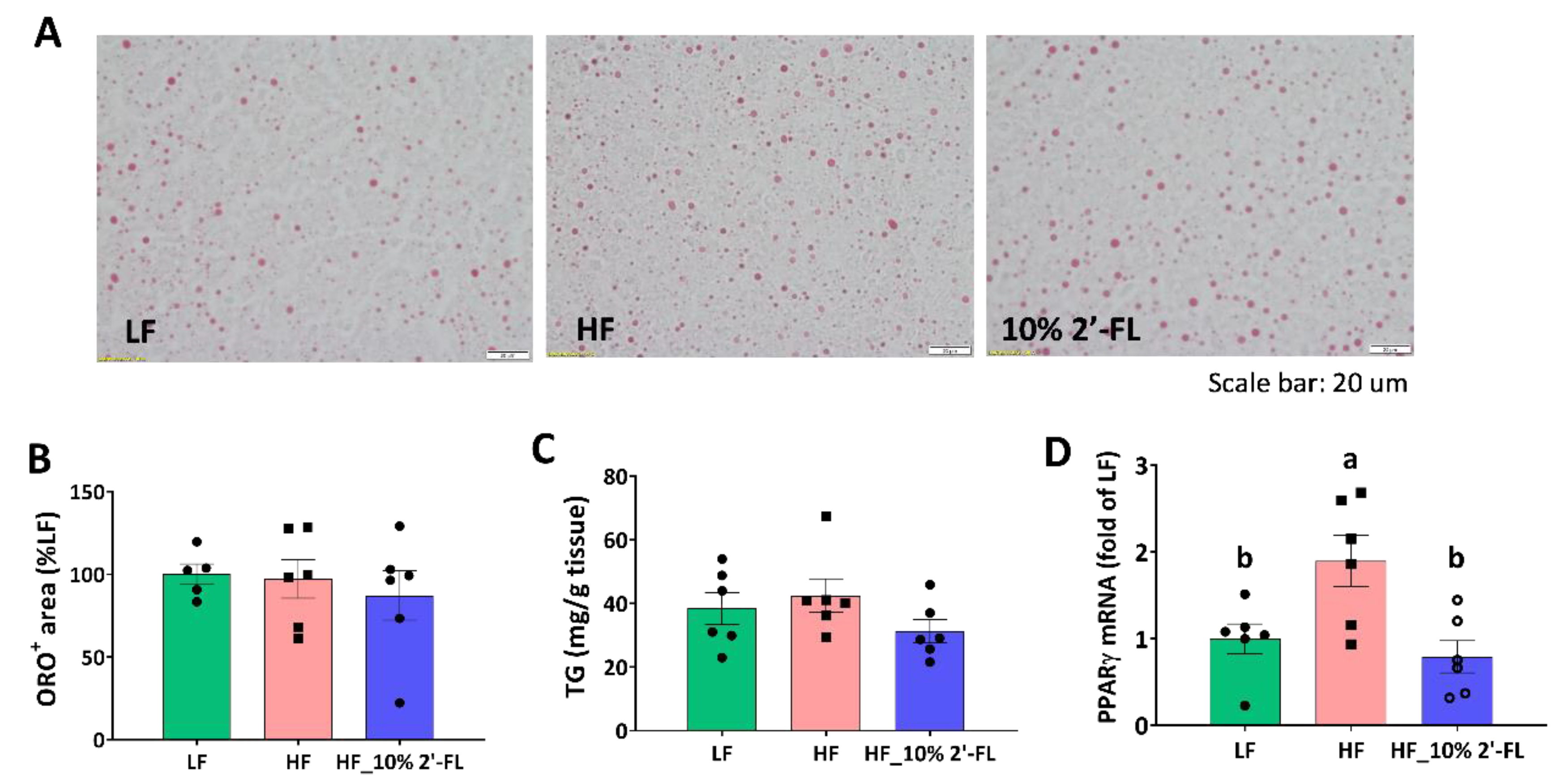 Nutrients 12 01003 g006 Nutrients 12 01003 g006