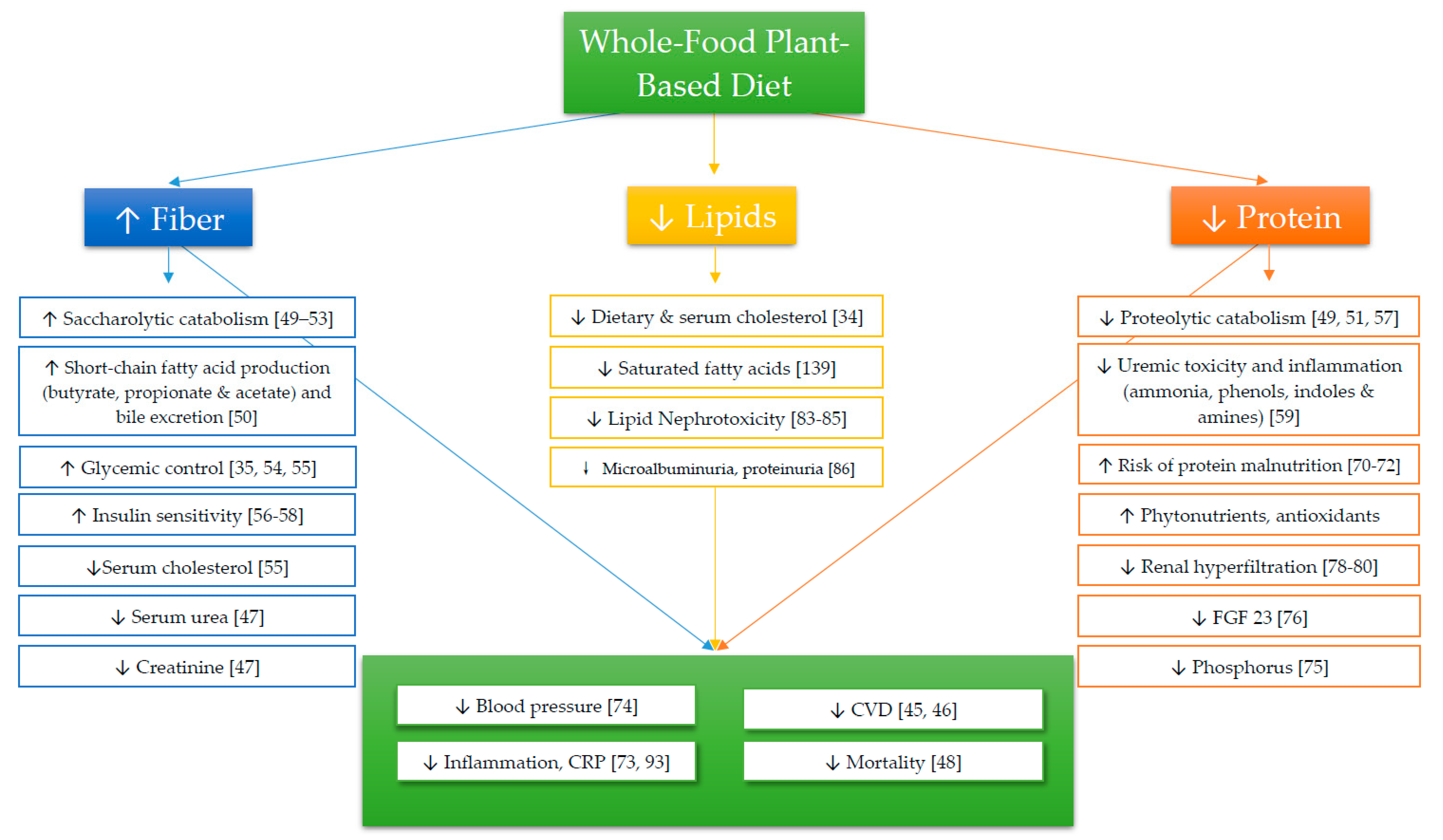 Nutrients Free Full Text Ameliorating Chronic Kidney Disease