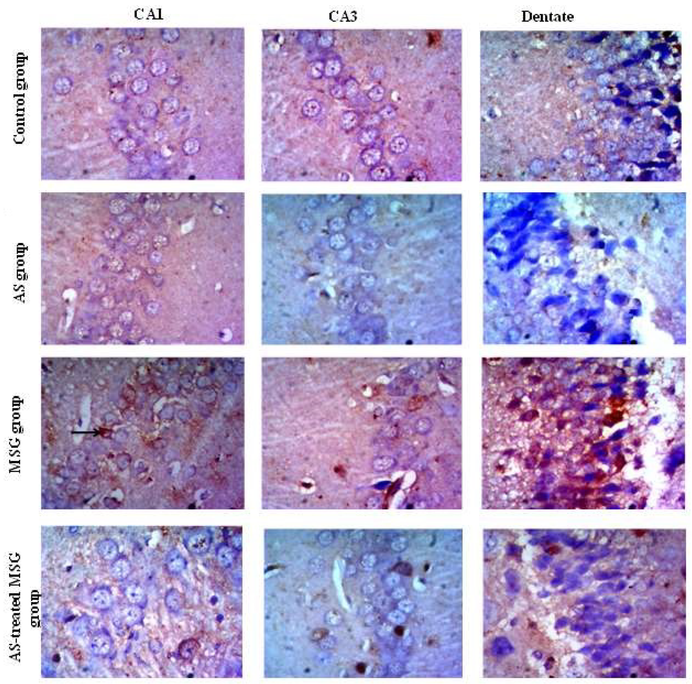 Nutrients 12 01028 g007 Nutrients 12 01028 g007