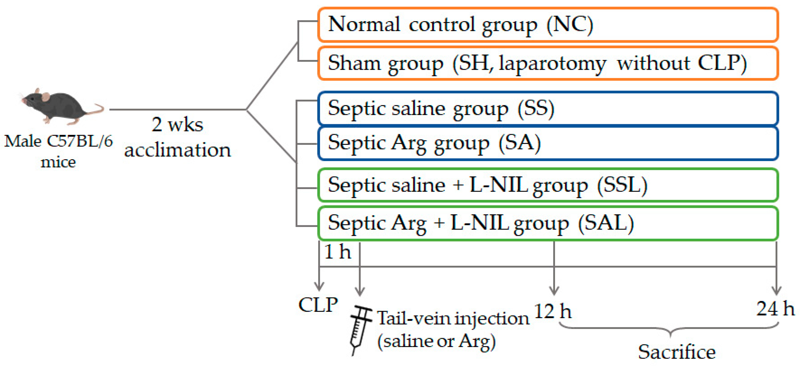 Nutrients 12 01047 g001