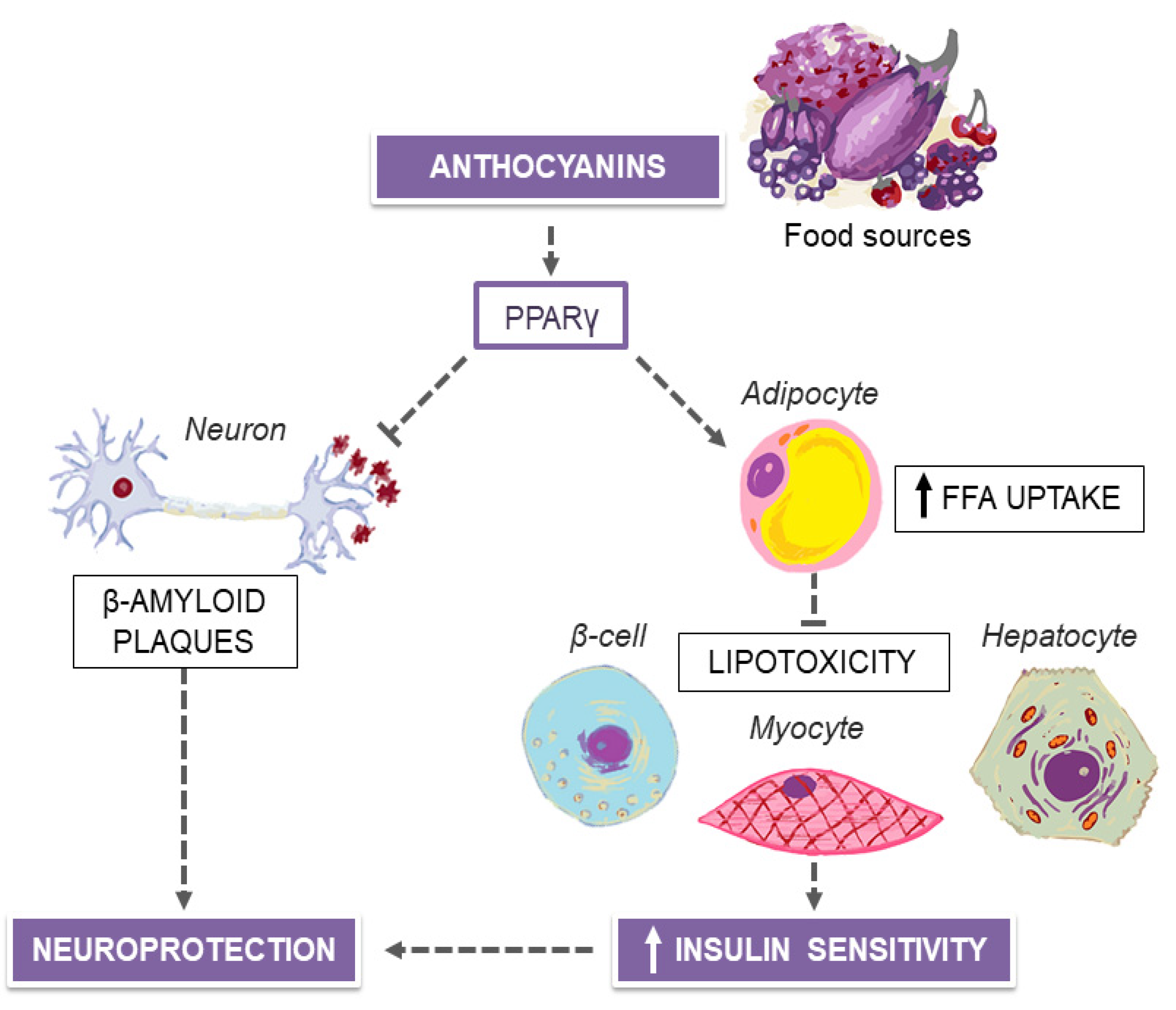Nutrients 12 01066 g002 Nutrients 12 01066 g002