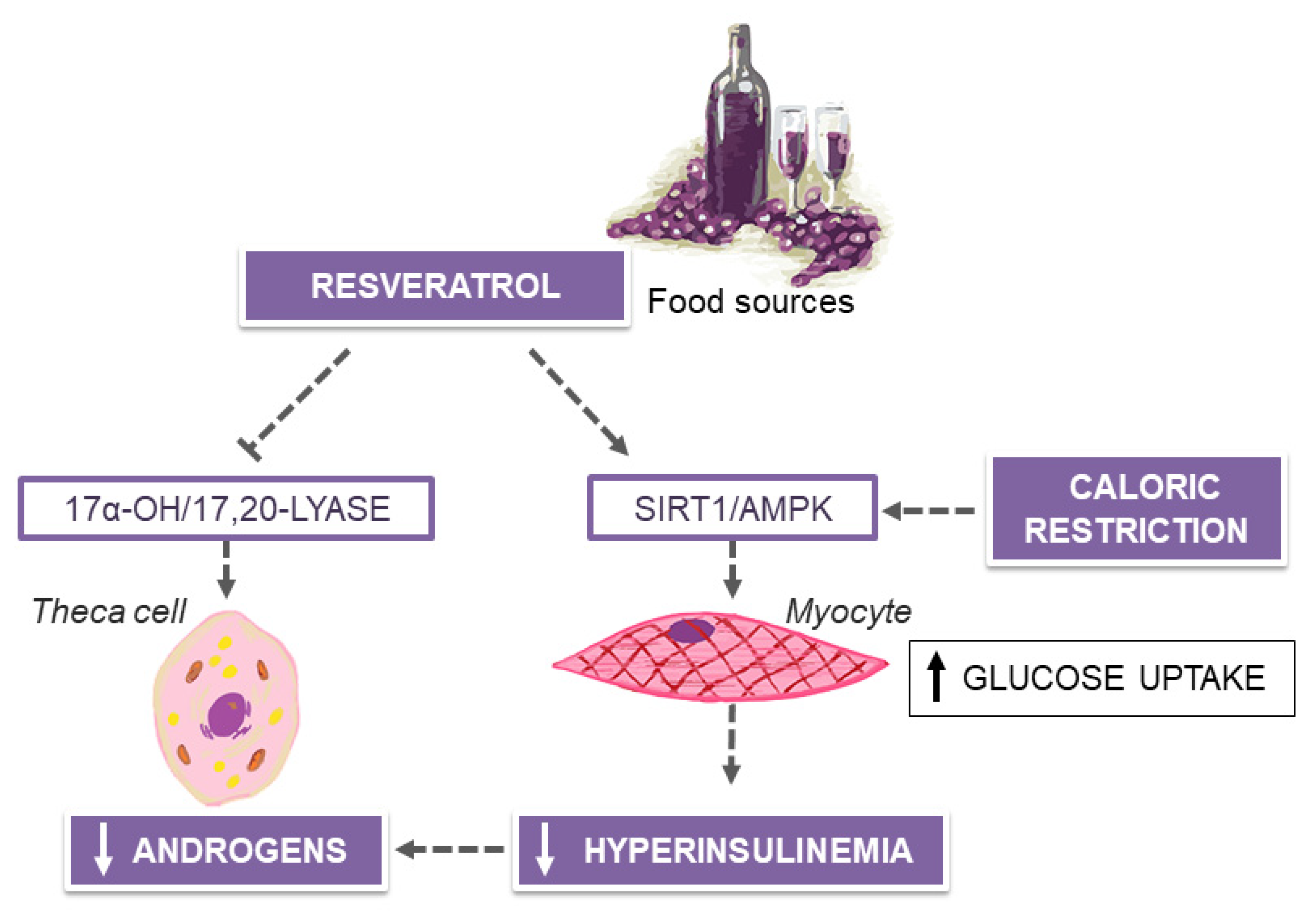 Nutrients 12 01066 g003 Nutrients 12 01066 g003