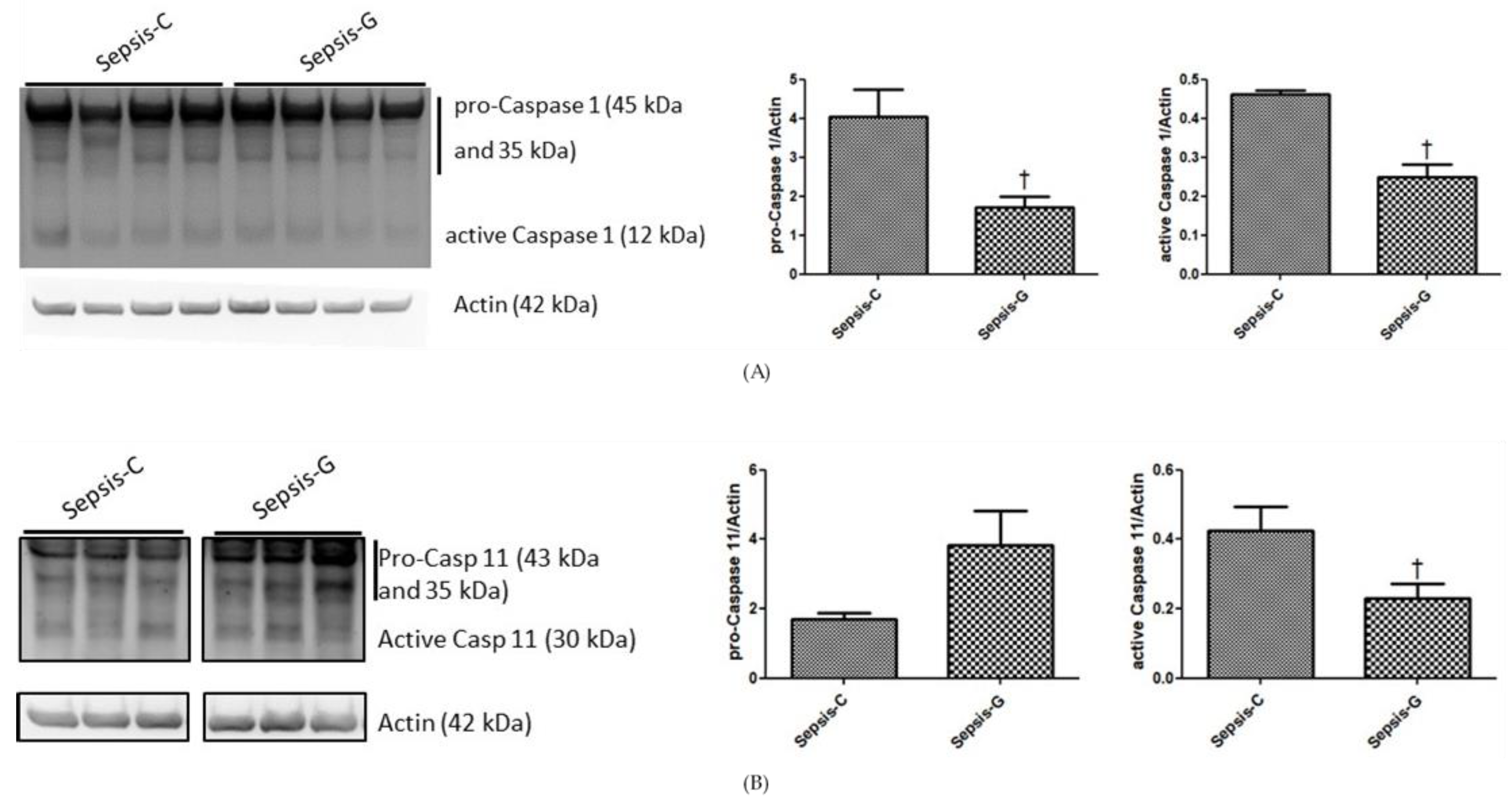 Nutrients 12 01086 g004a