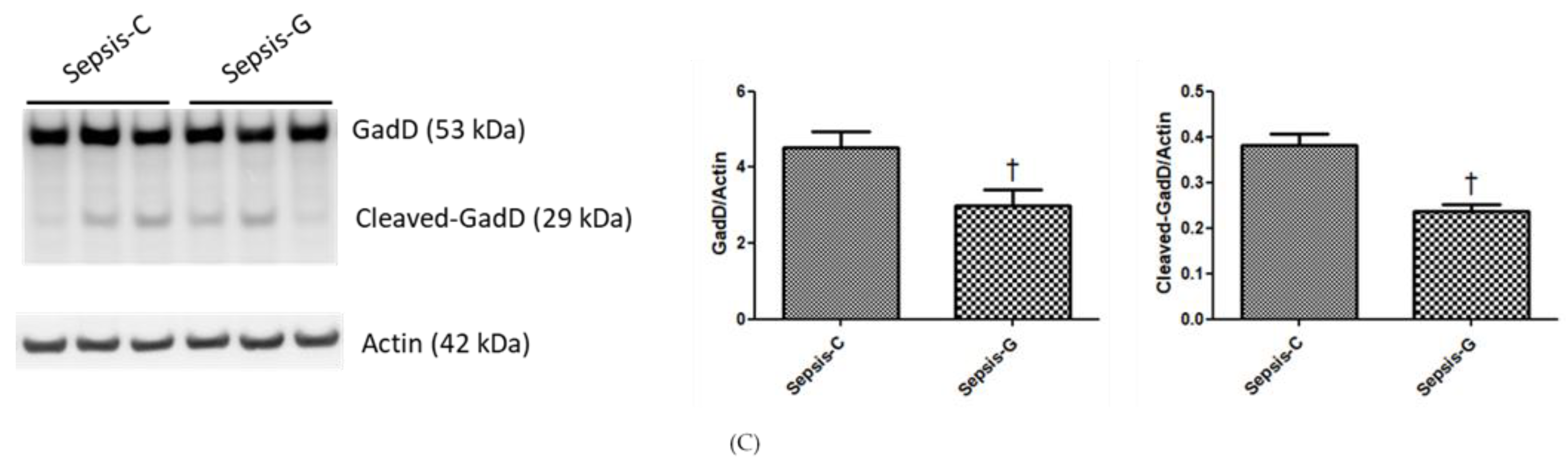 Nutrients 12 01086 g004b