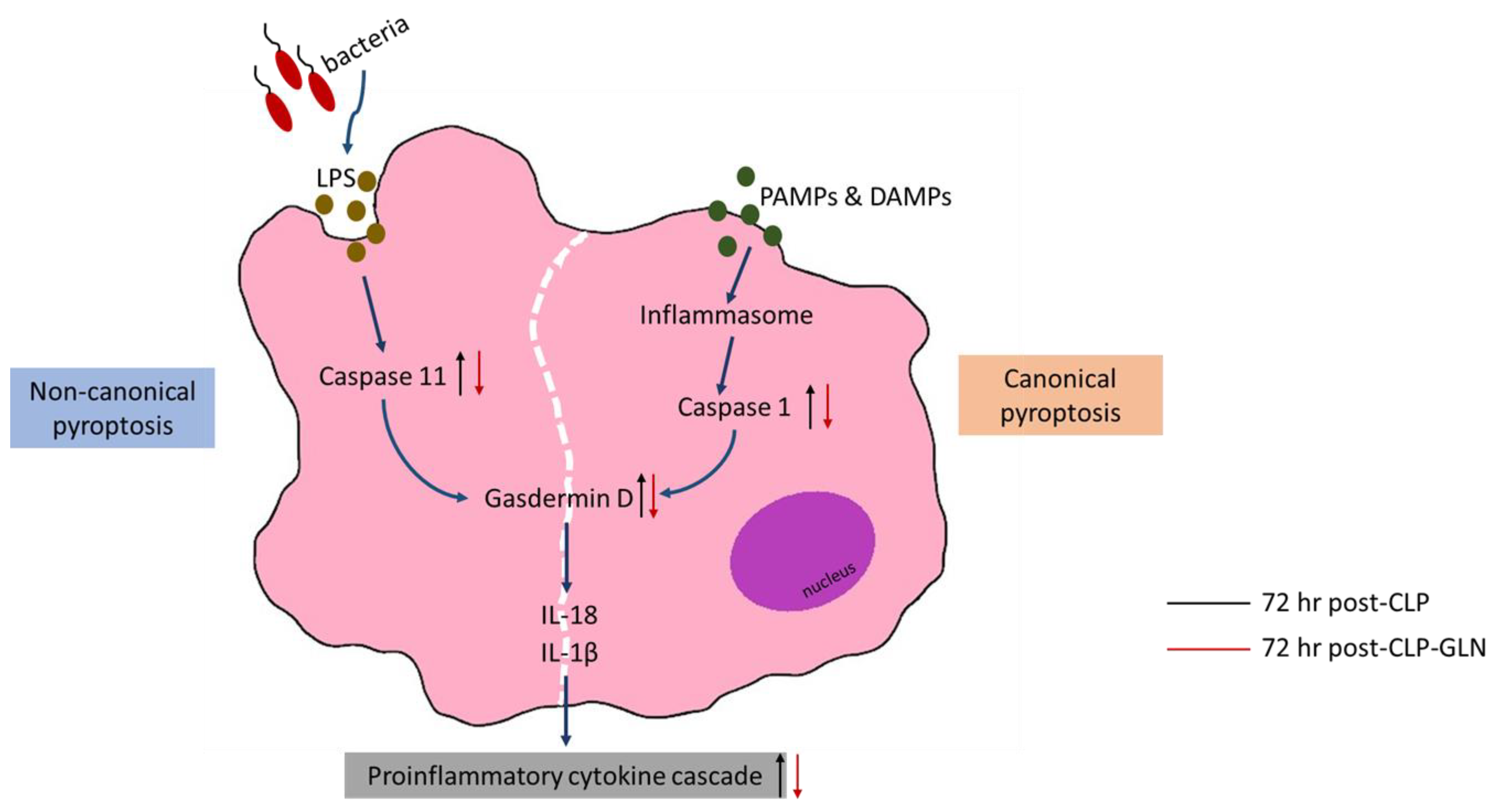 Nutrients 12 01086 g006