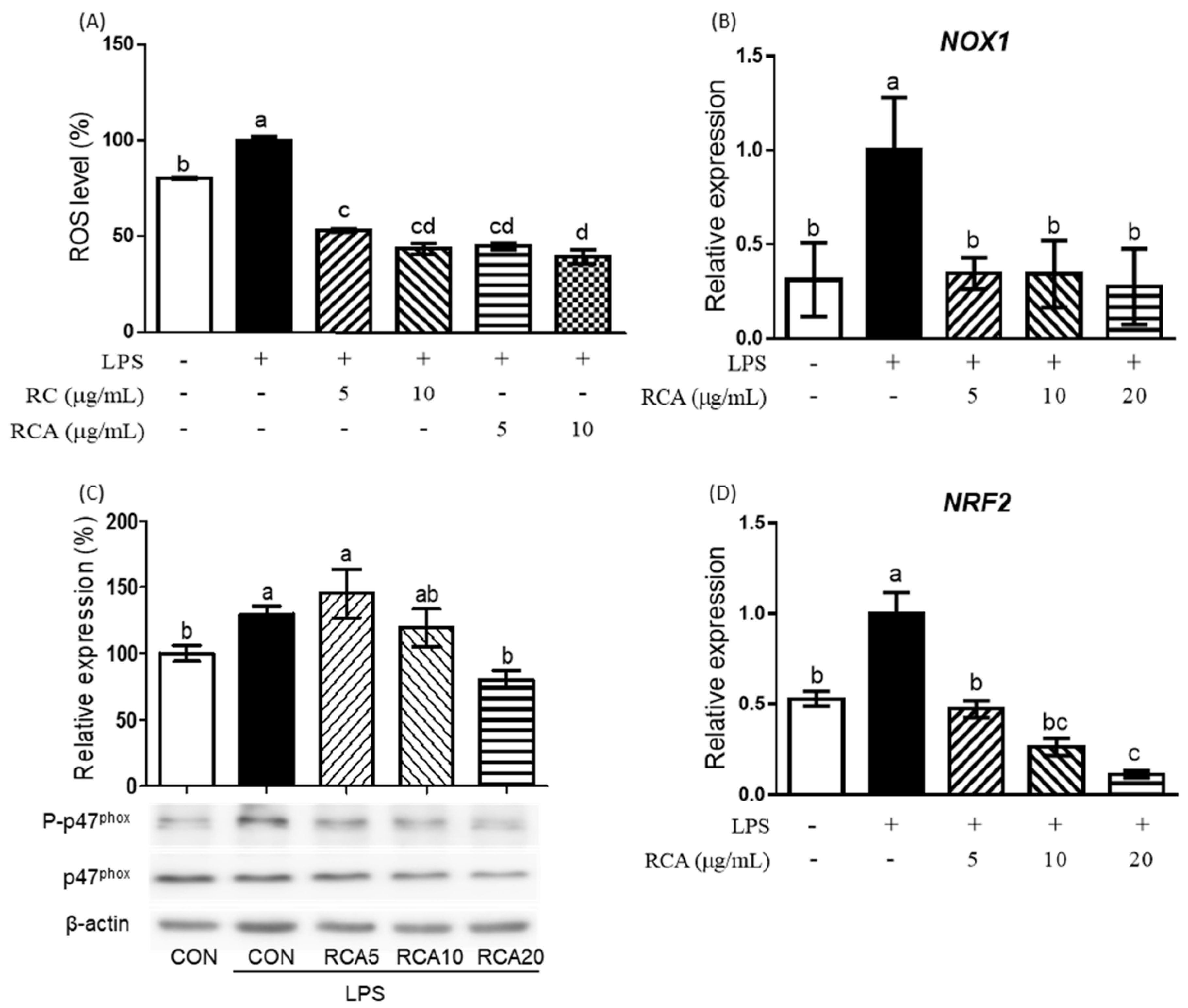Nutrients 12 01089 g002