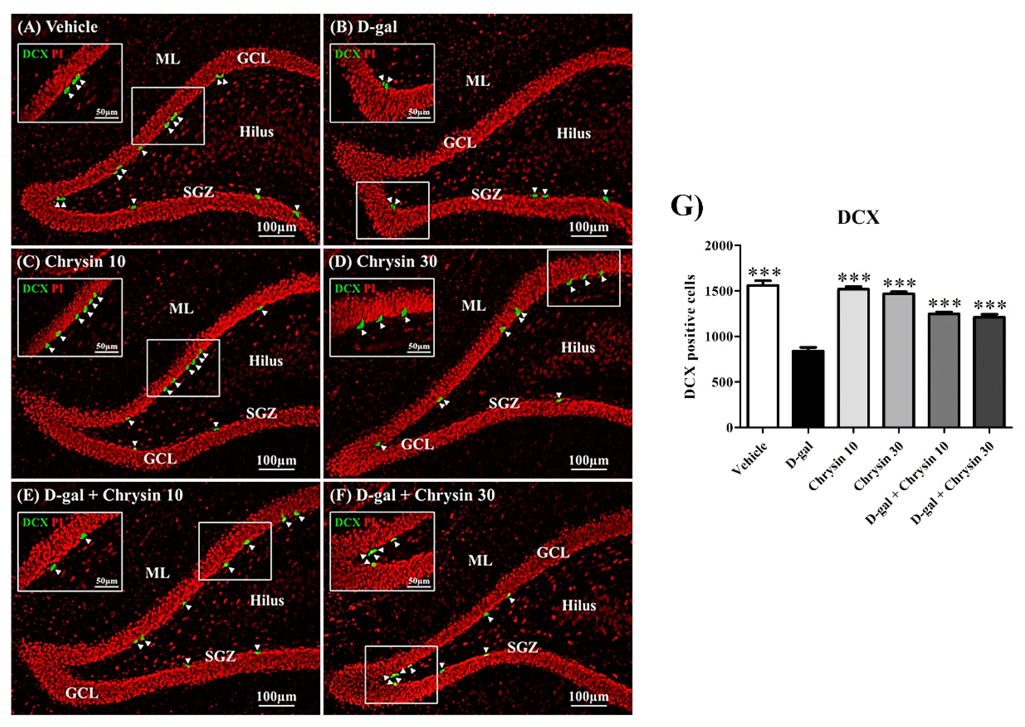 Nutrients 12 01100 g007 Nutrients 12 01100 g007