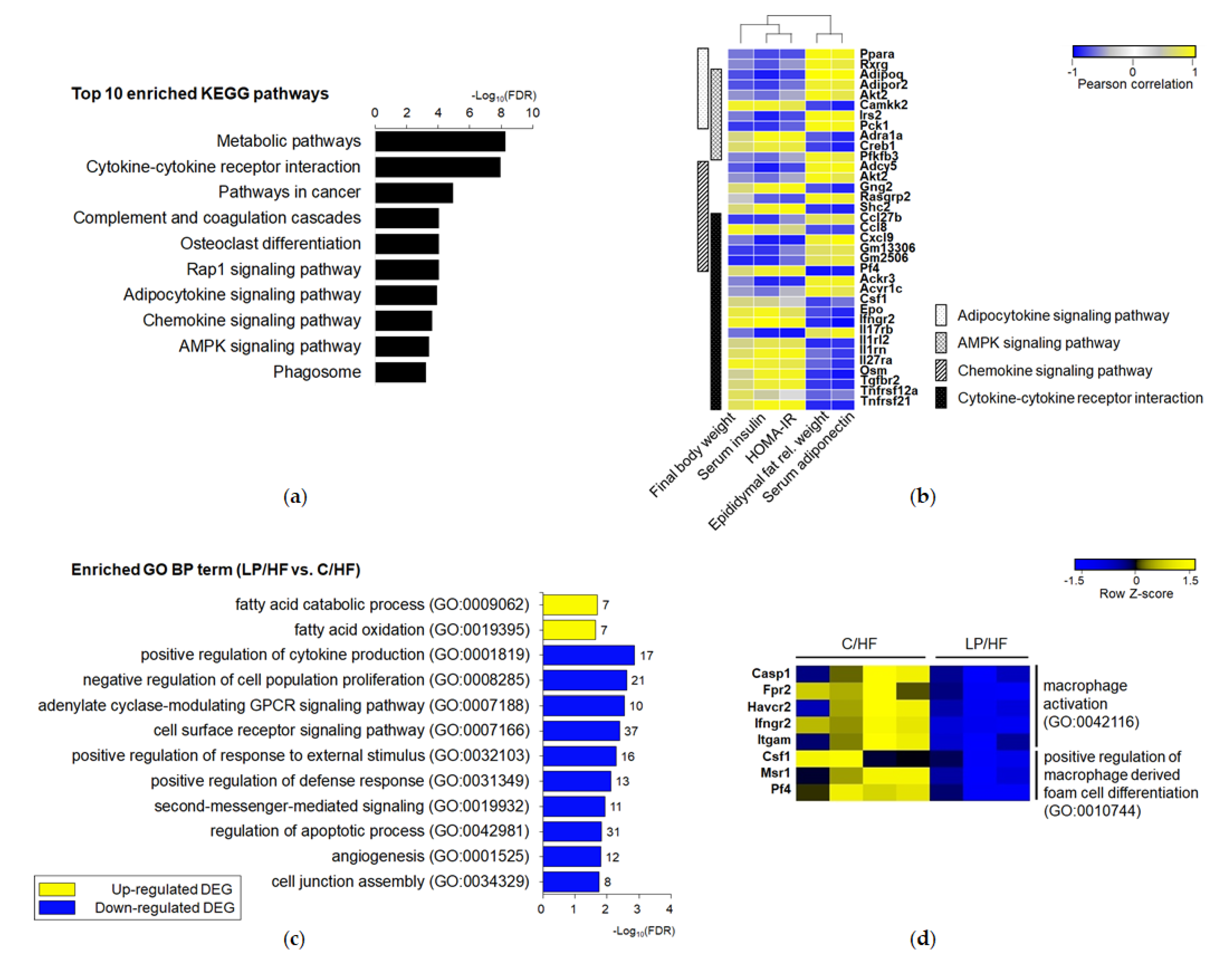 Nutrients 12 01103 g003 Nutrients 12 01103 g003