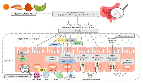 Nutrients 12 01107 g002 550