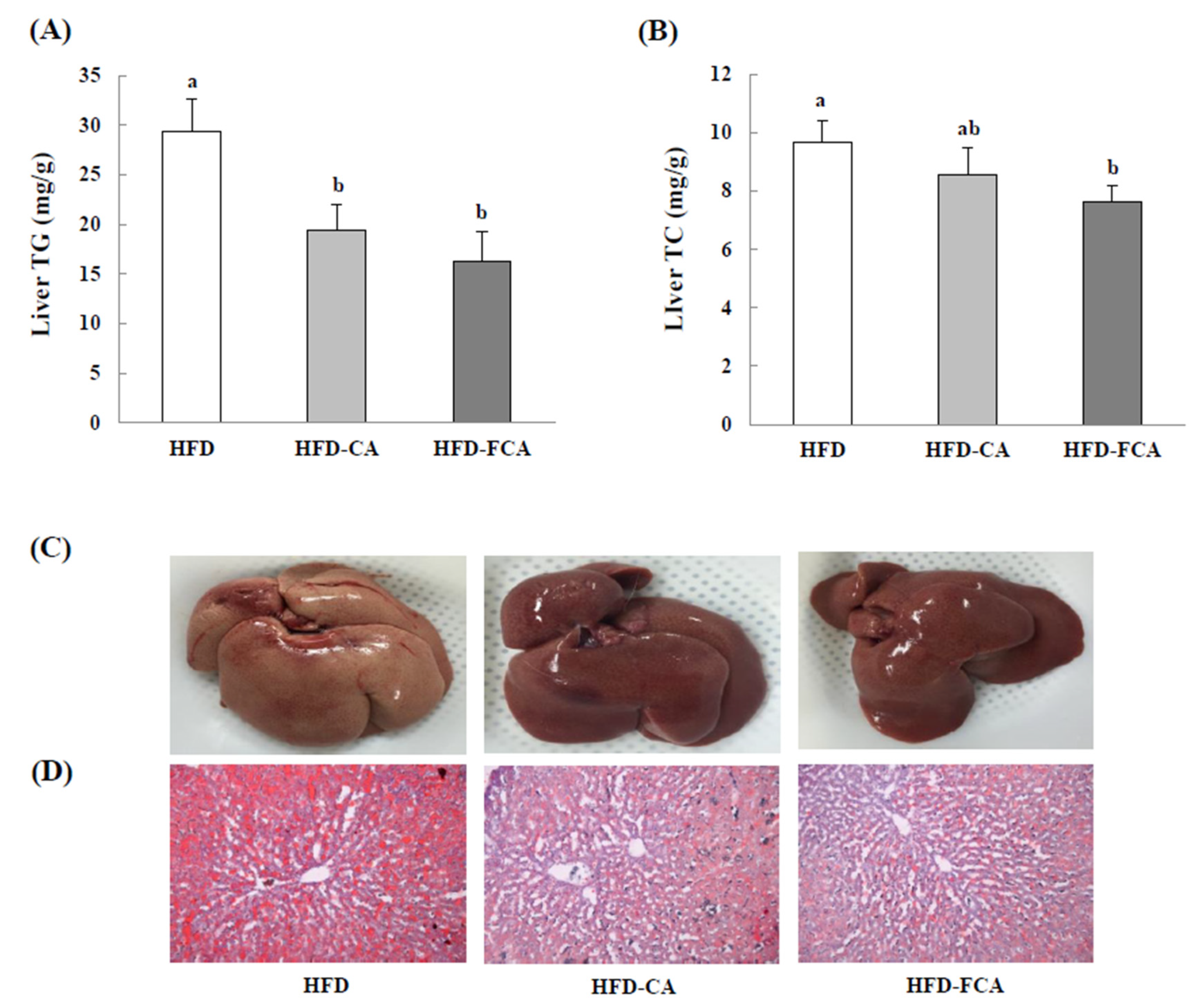 Nutrients 12 01135 g004 Nutrients 12 01135 g004