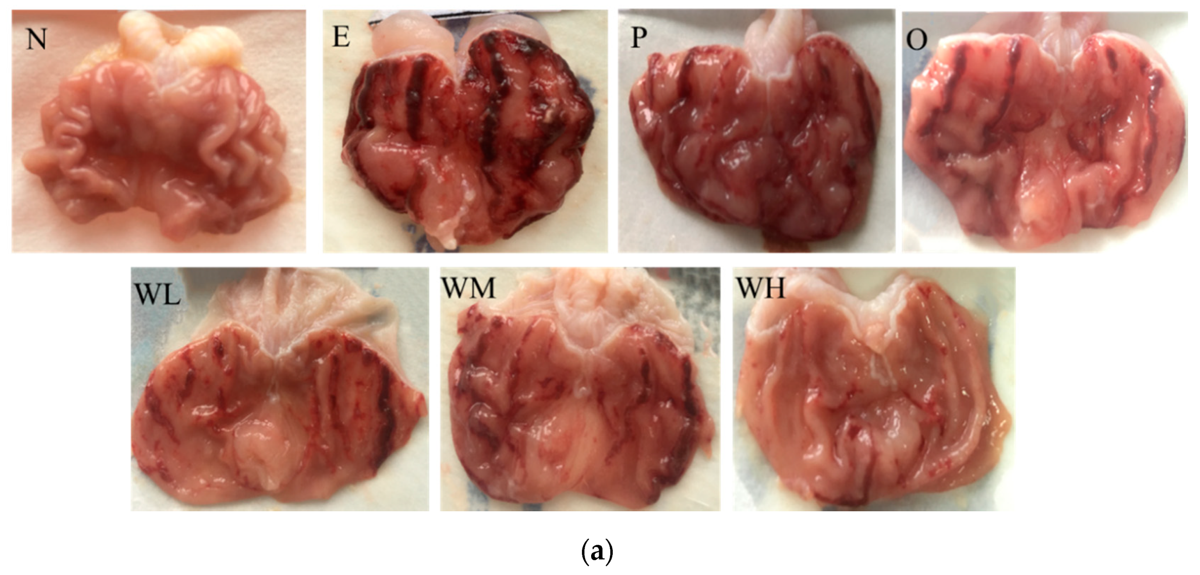 Nutrients 12 01138 g001a Nutrients 12 01138 g001a