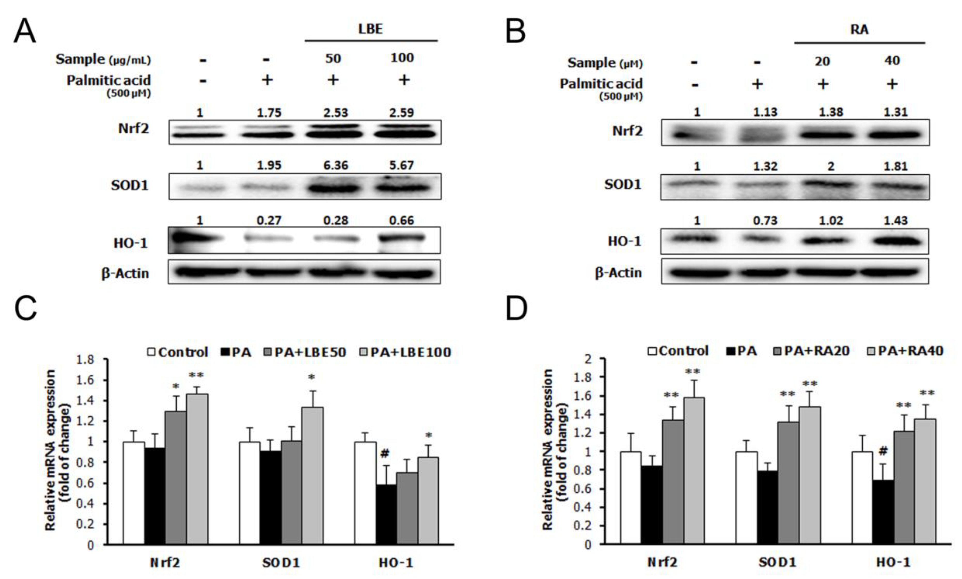 Nutrients 12 01166 g004 Nutrients 12 01166 g004