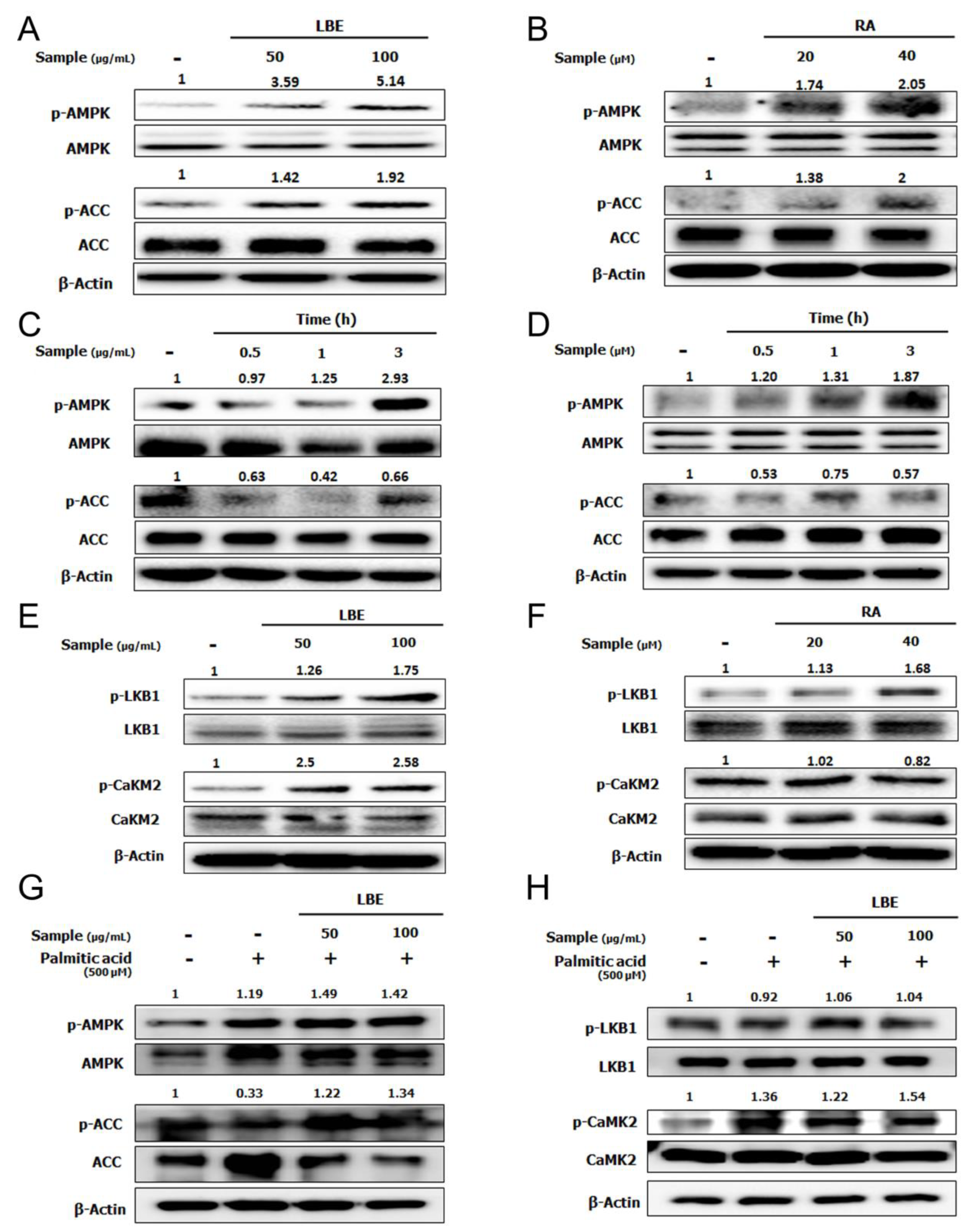 Nutrients 12 01166 g005 Nutrients 12 01166 g005