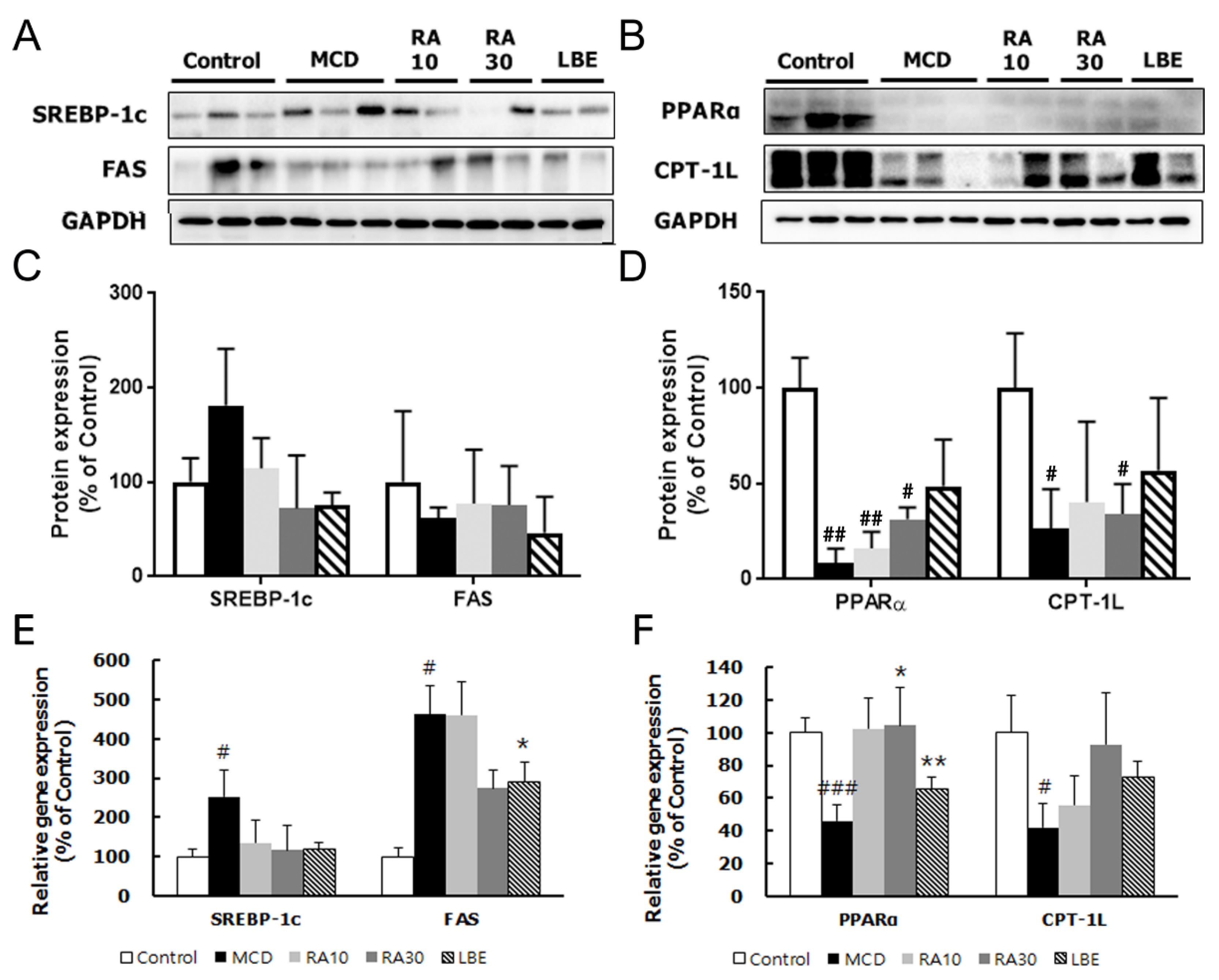 Nutrients 12 01166 g007 Nutrients 12 01166 g007