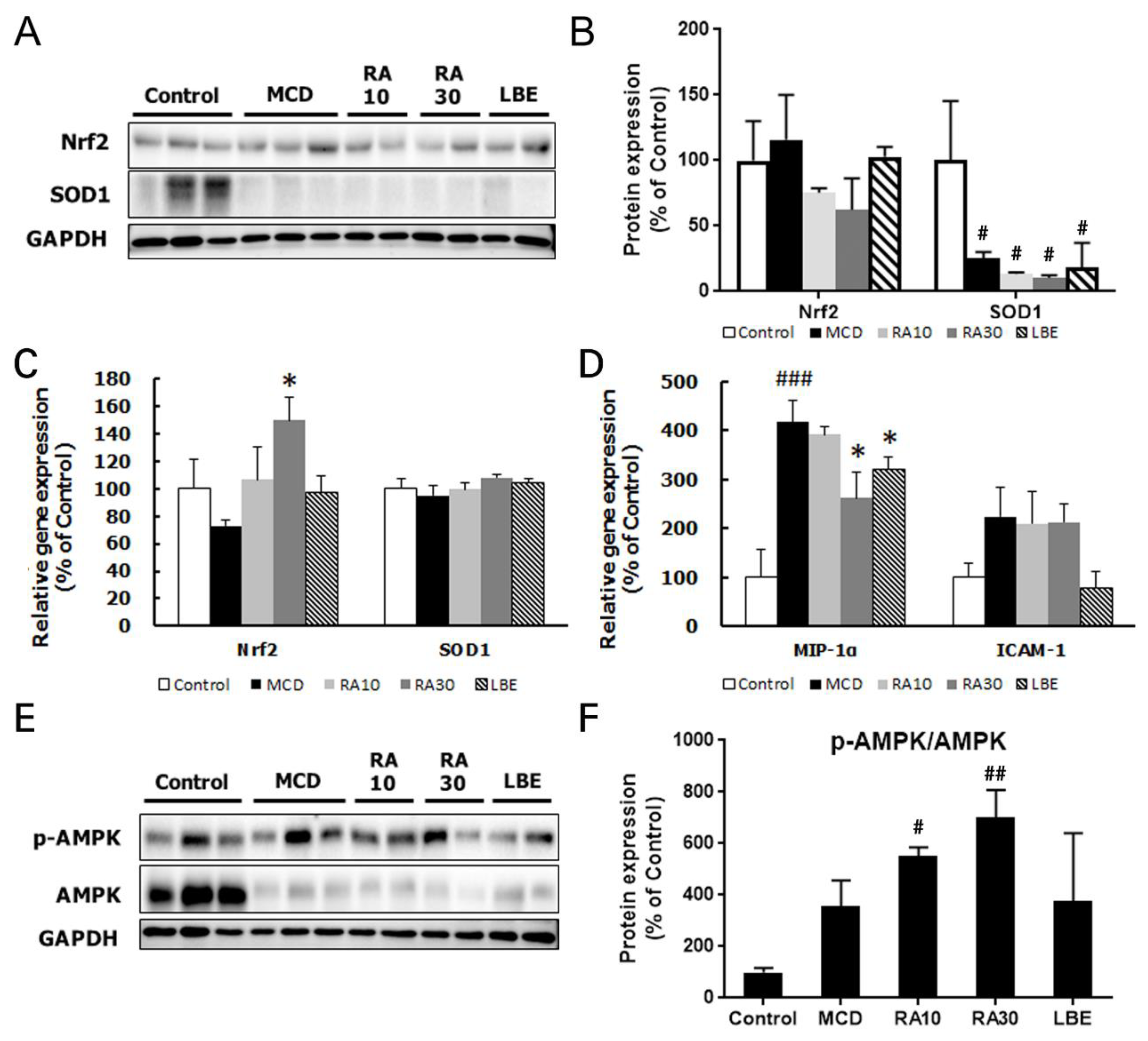 Nutrients 12 01166 g008 Nutrients 12 01166 g008