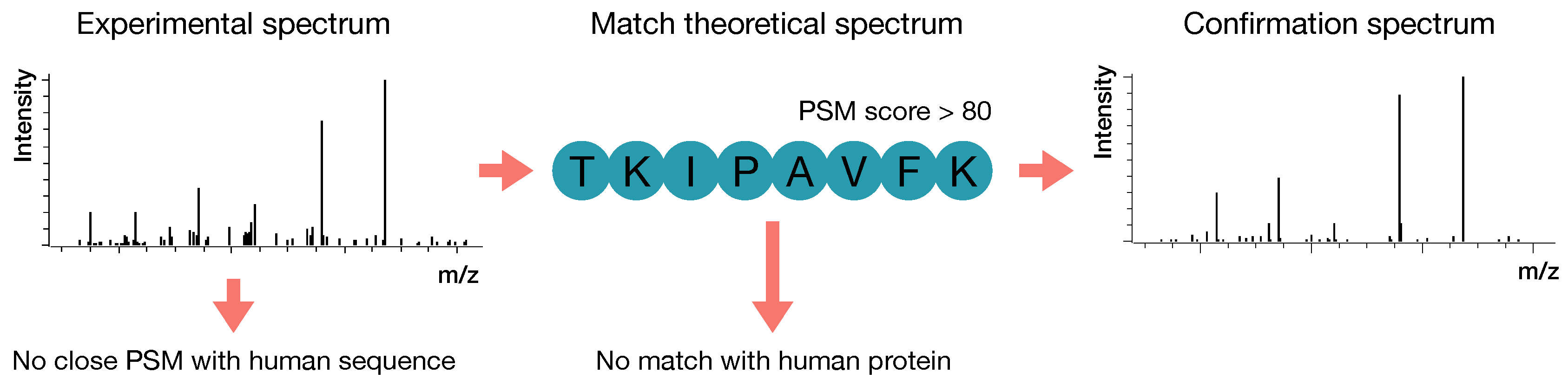 Nutrients 12 01169 g001 Nutrients 12 01169 g001