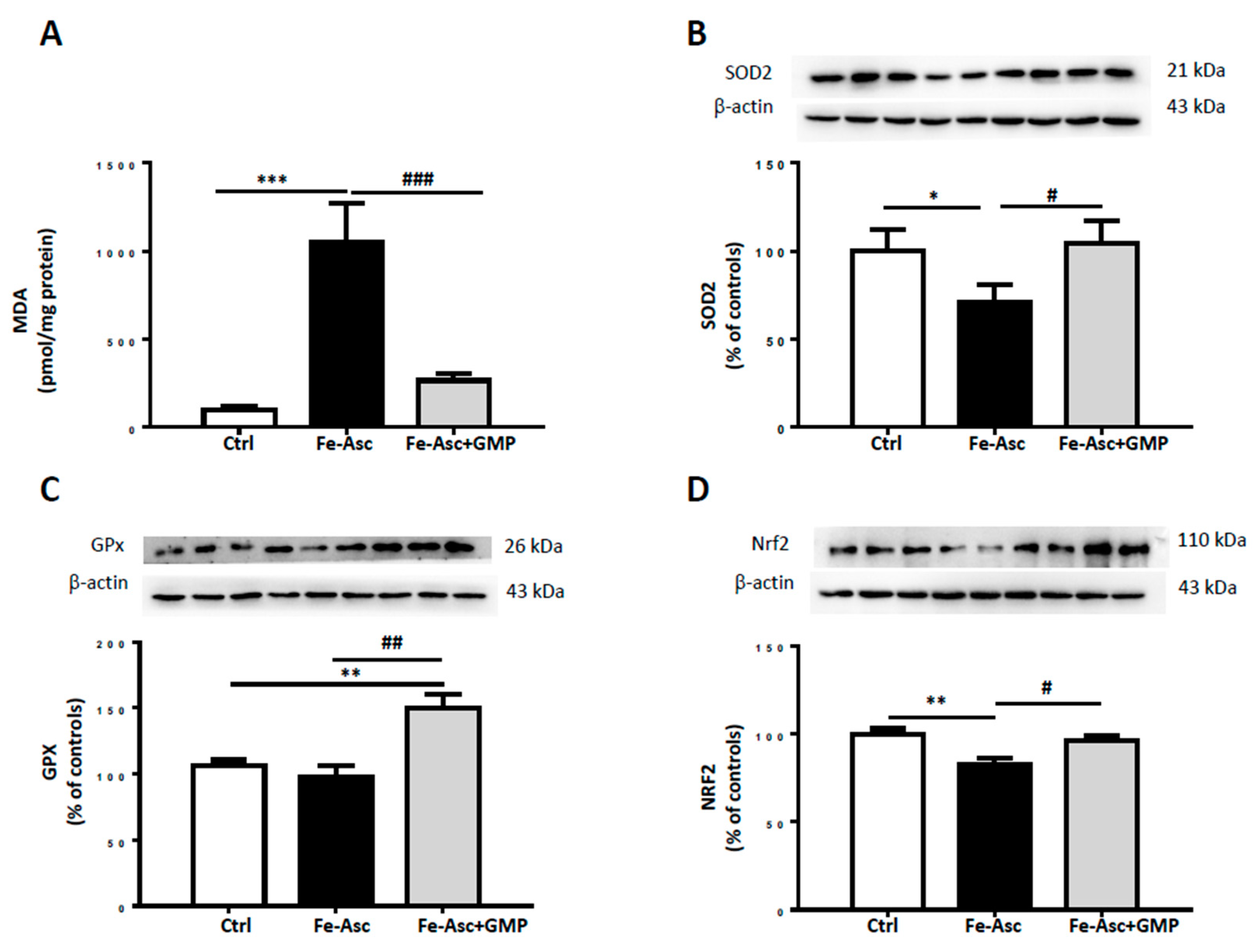 Nutrients 12 01175 g002