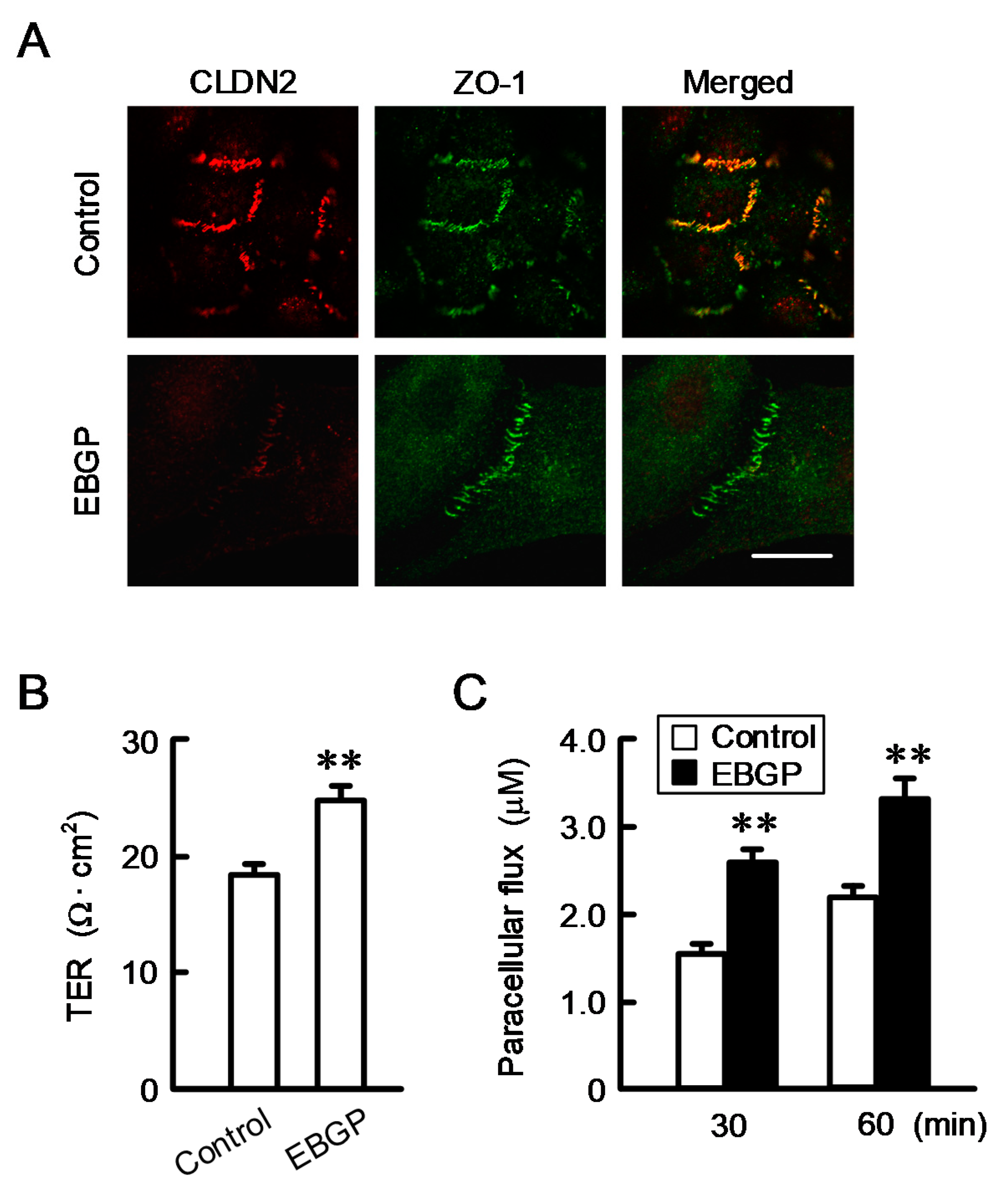 Nutrients 12 01190 g002