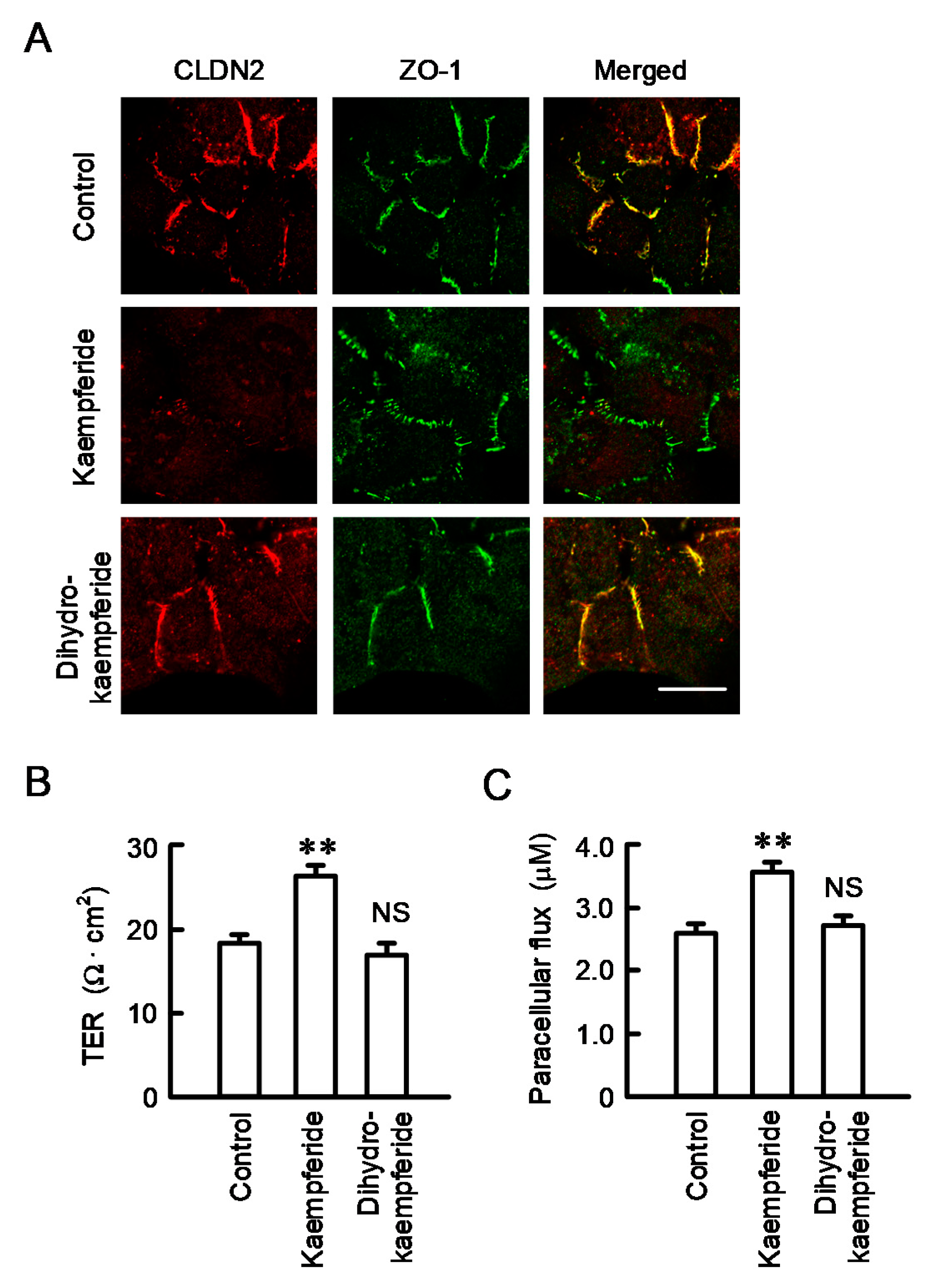 Nutrients 12 01190 g008