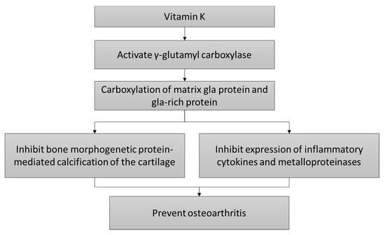 Nutrients 12 01208 g001 550