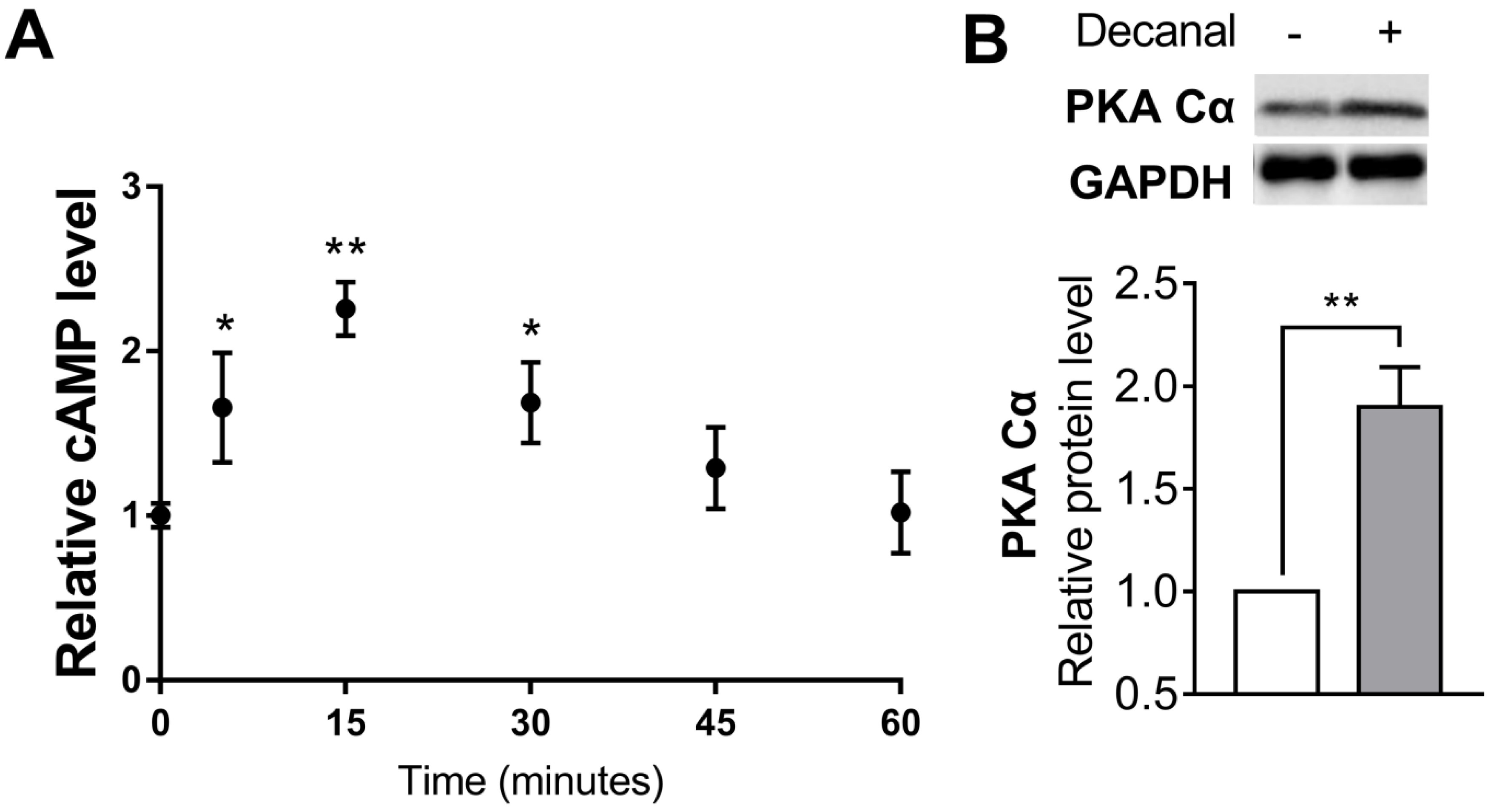Nutrients 12 01214 g003 Nutrients 12 01214 g003
