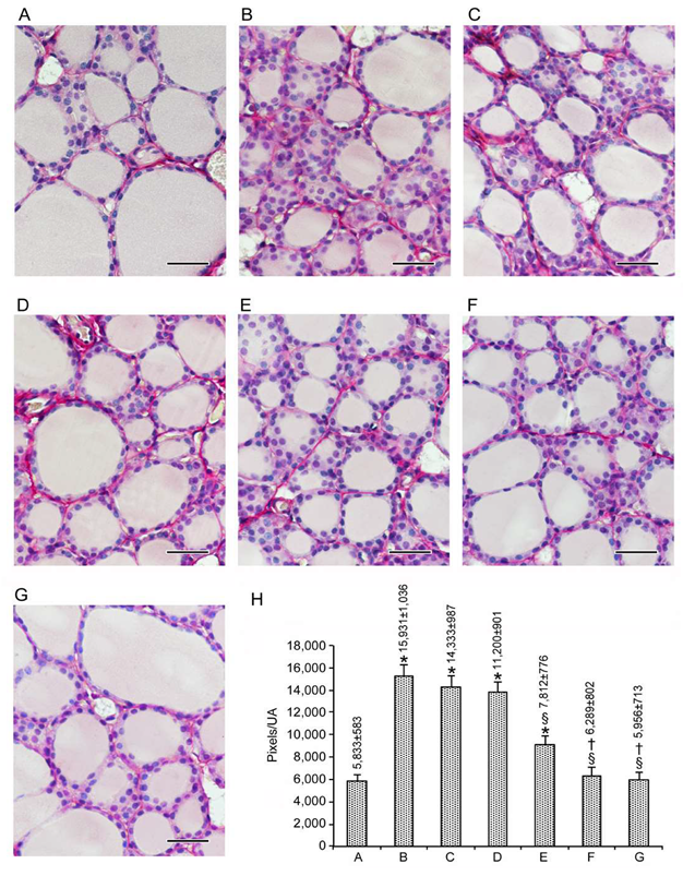 Nutrients 12 01222 g002 Nutrients 12 01222 g002