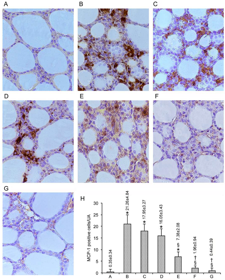 Nutrients 12 01222 g003 Nutrients 12 01222 g003