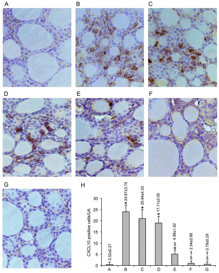 Nutrients 12 01222 g004 Nutrients 12 01222 g004