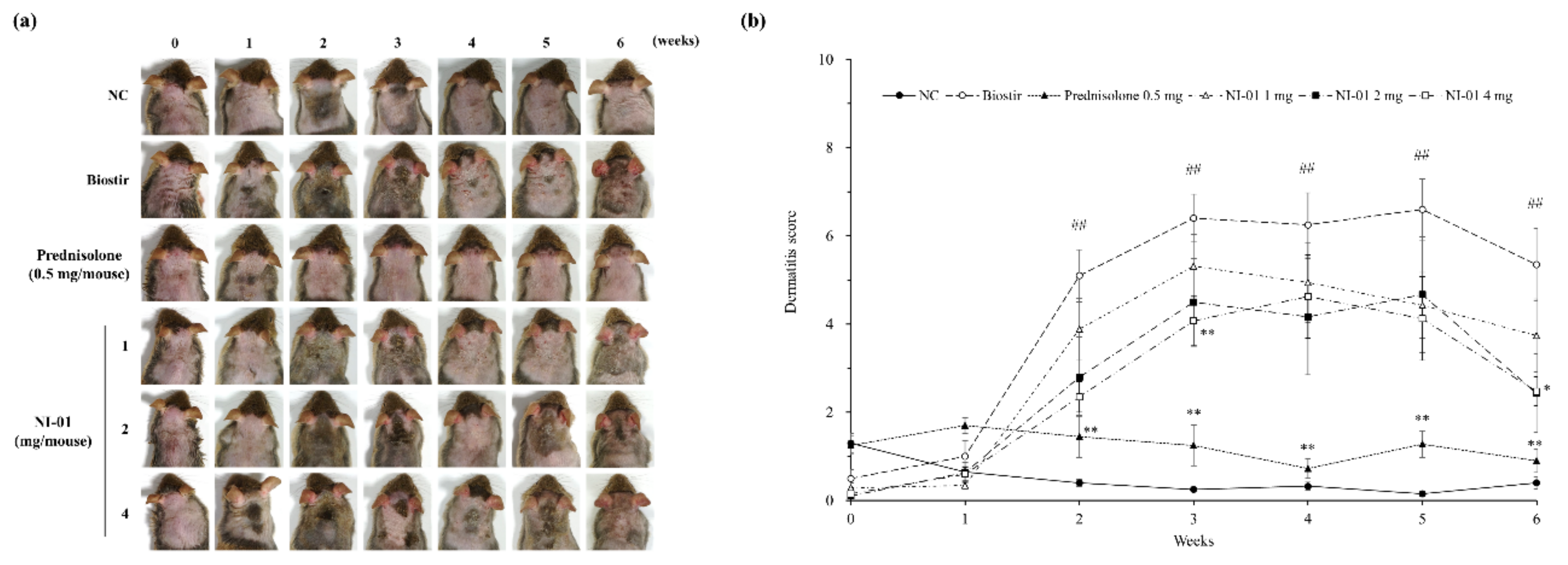Nutrients 12 01240 g004 Nutrients 12 01240 g004