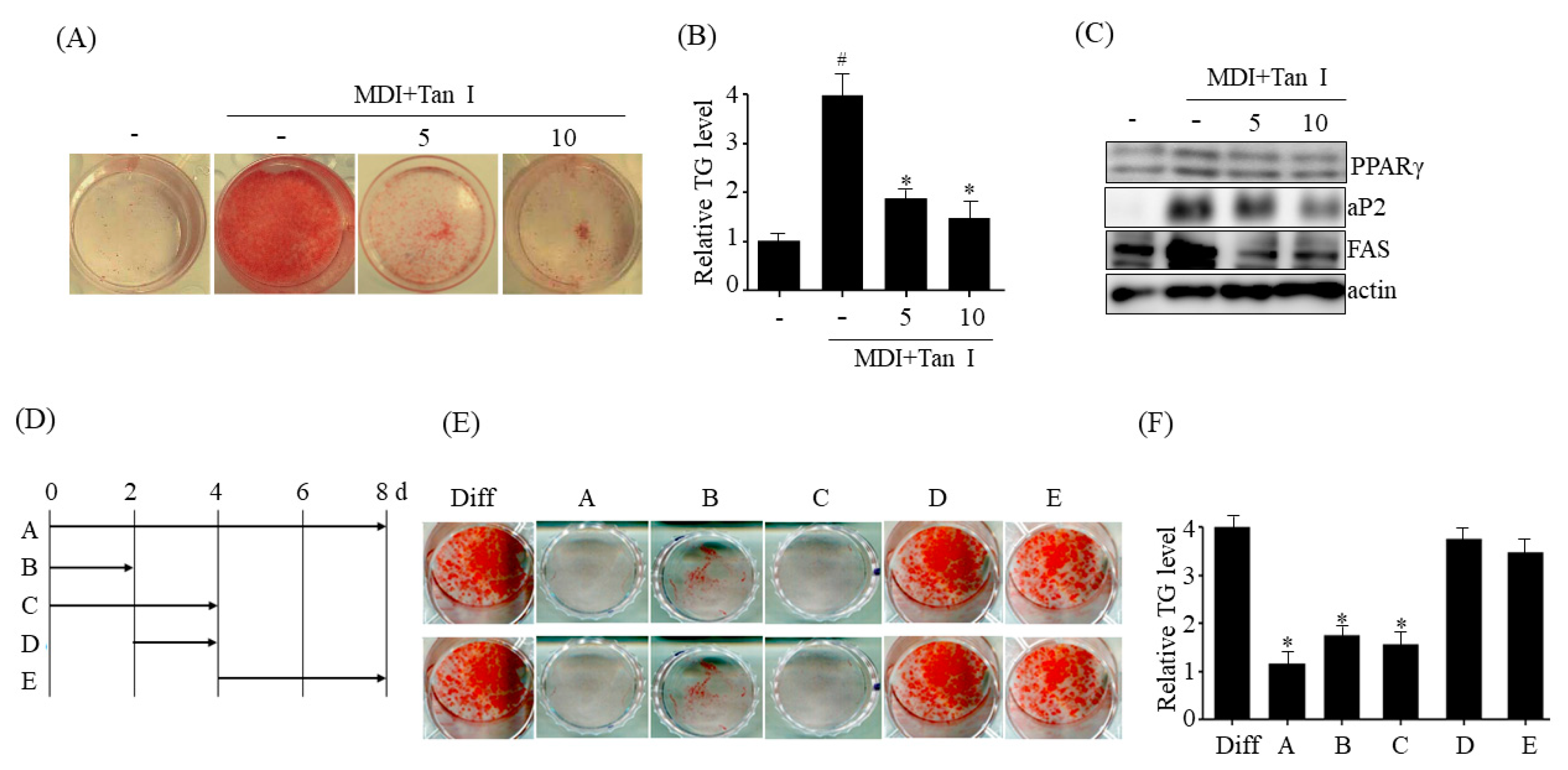 Nutrients 12 01242 g003