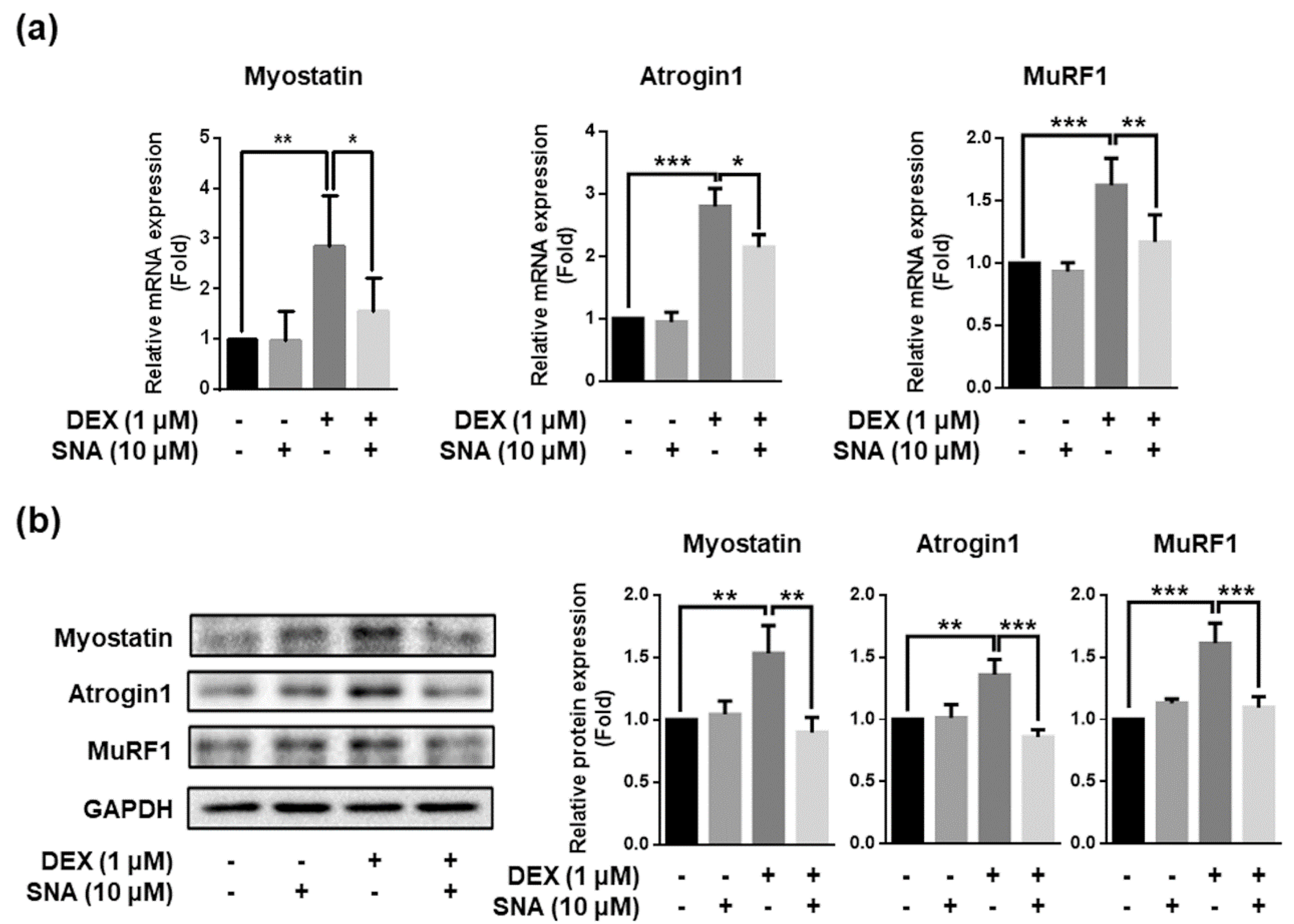 Nutrients 12 01255 g004