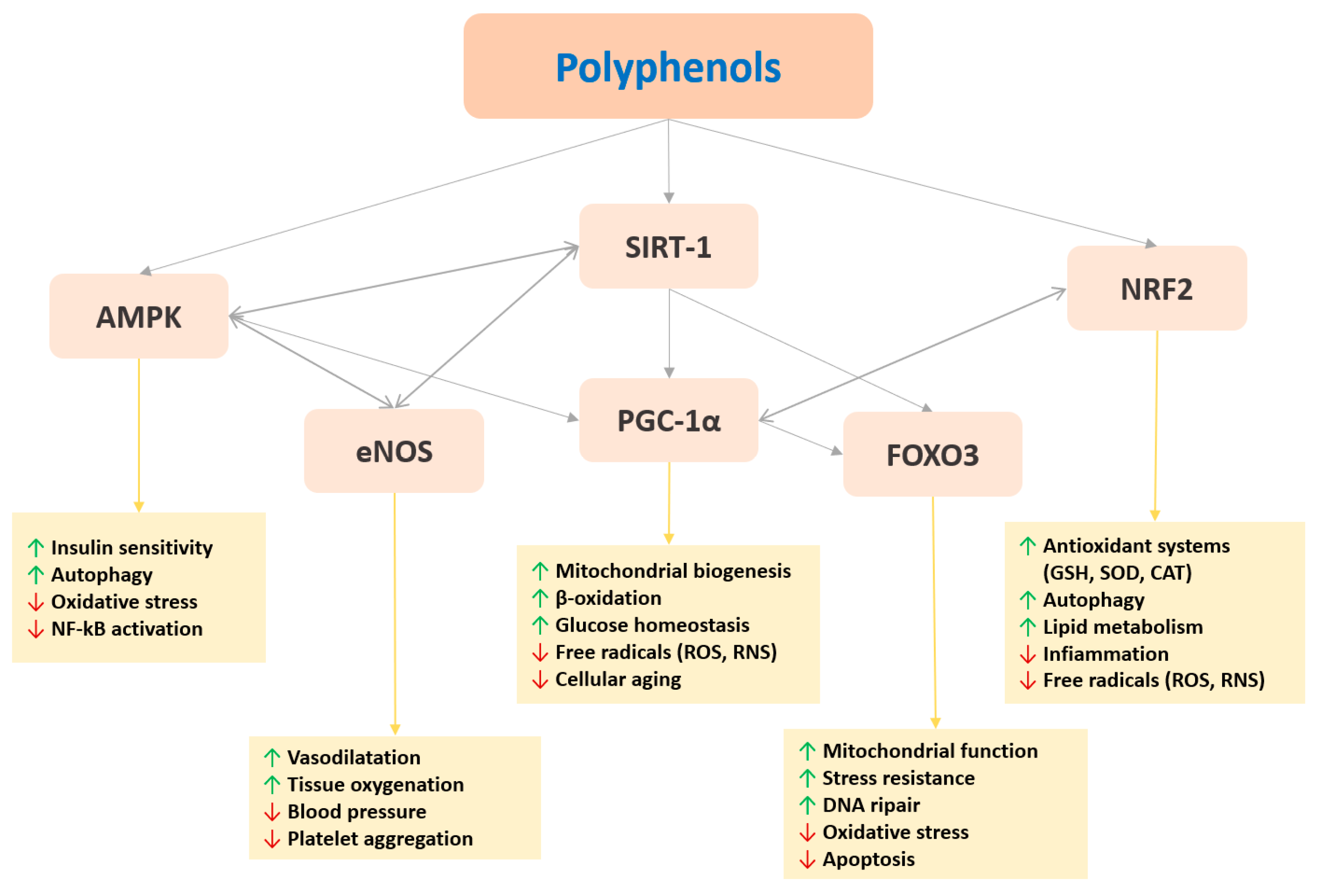 Nutrients 12 01265 g002
