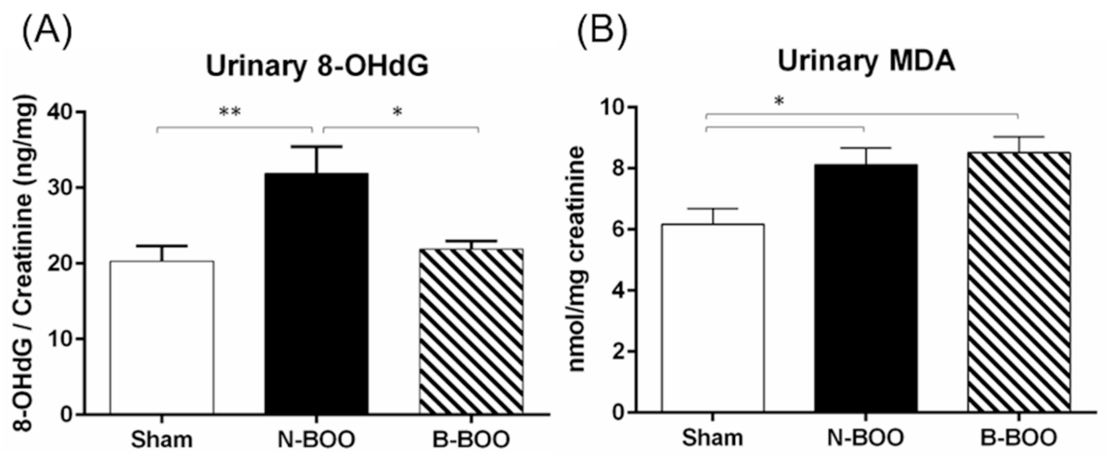 Nutrients 12 01285 g002