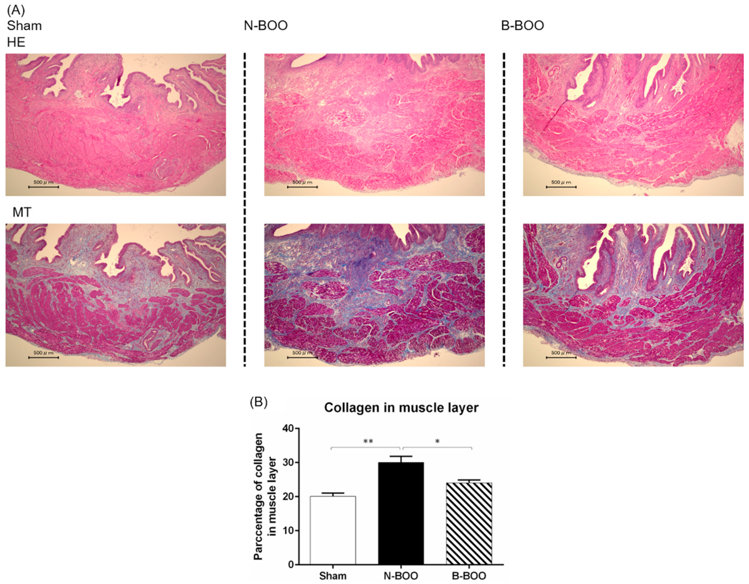 Nutrients 12 01285 g003