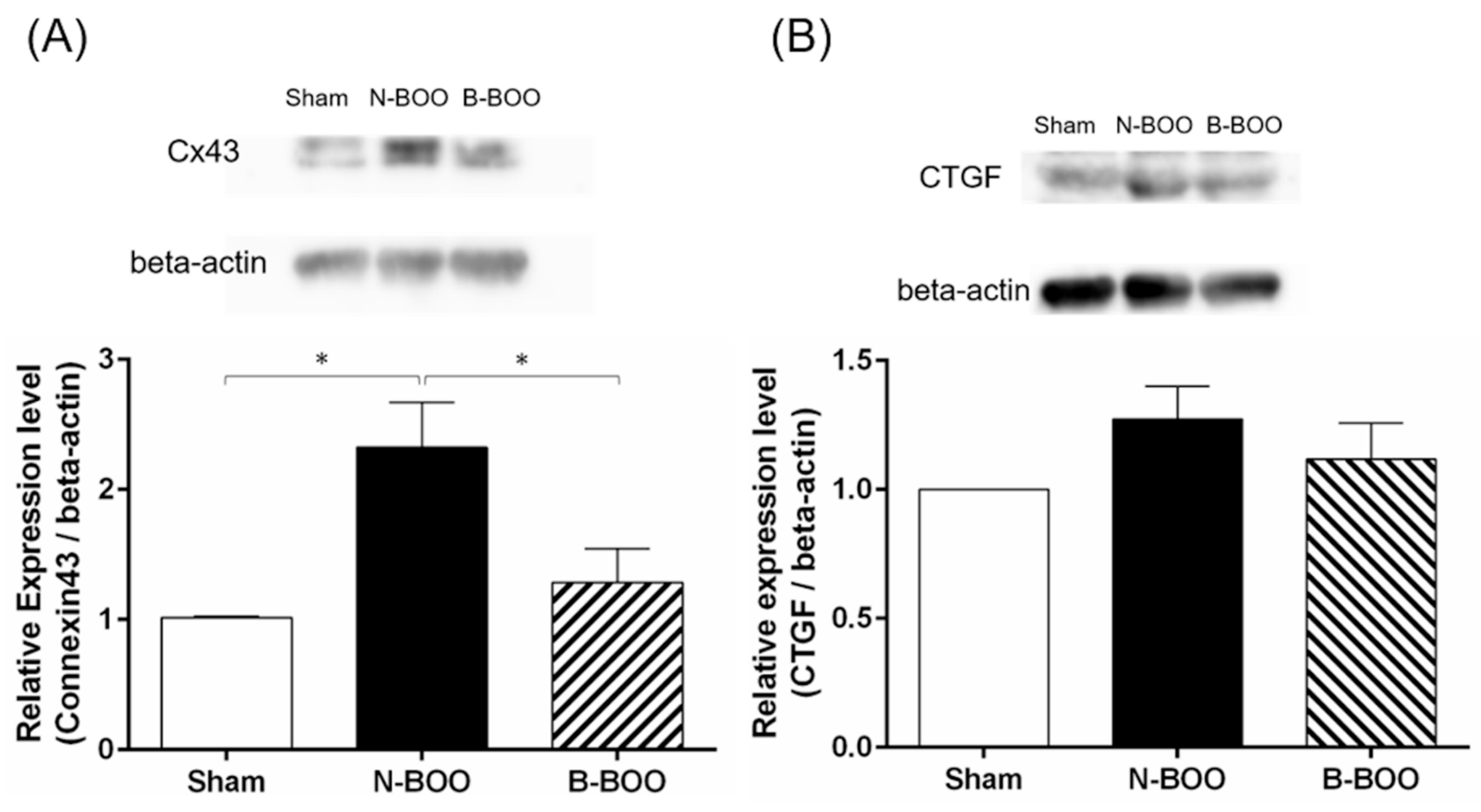 Nutrients 12 01285 g004