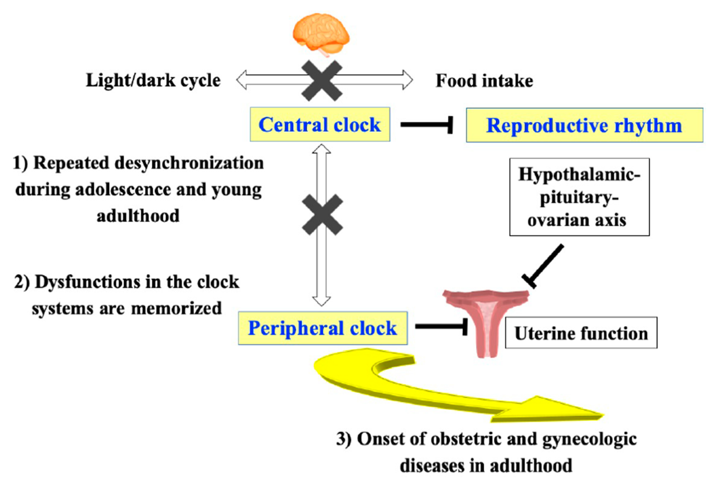 Nutrients 12 01294 g002