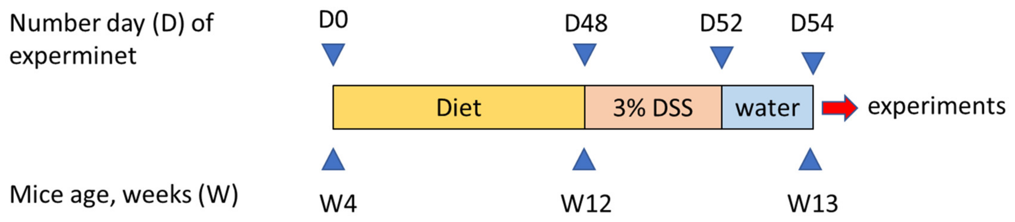 Nutrients 12 01302 g001